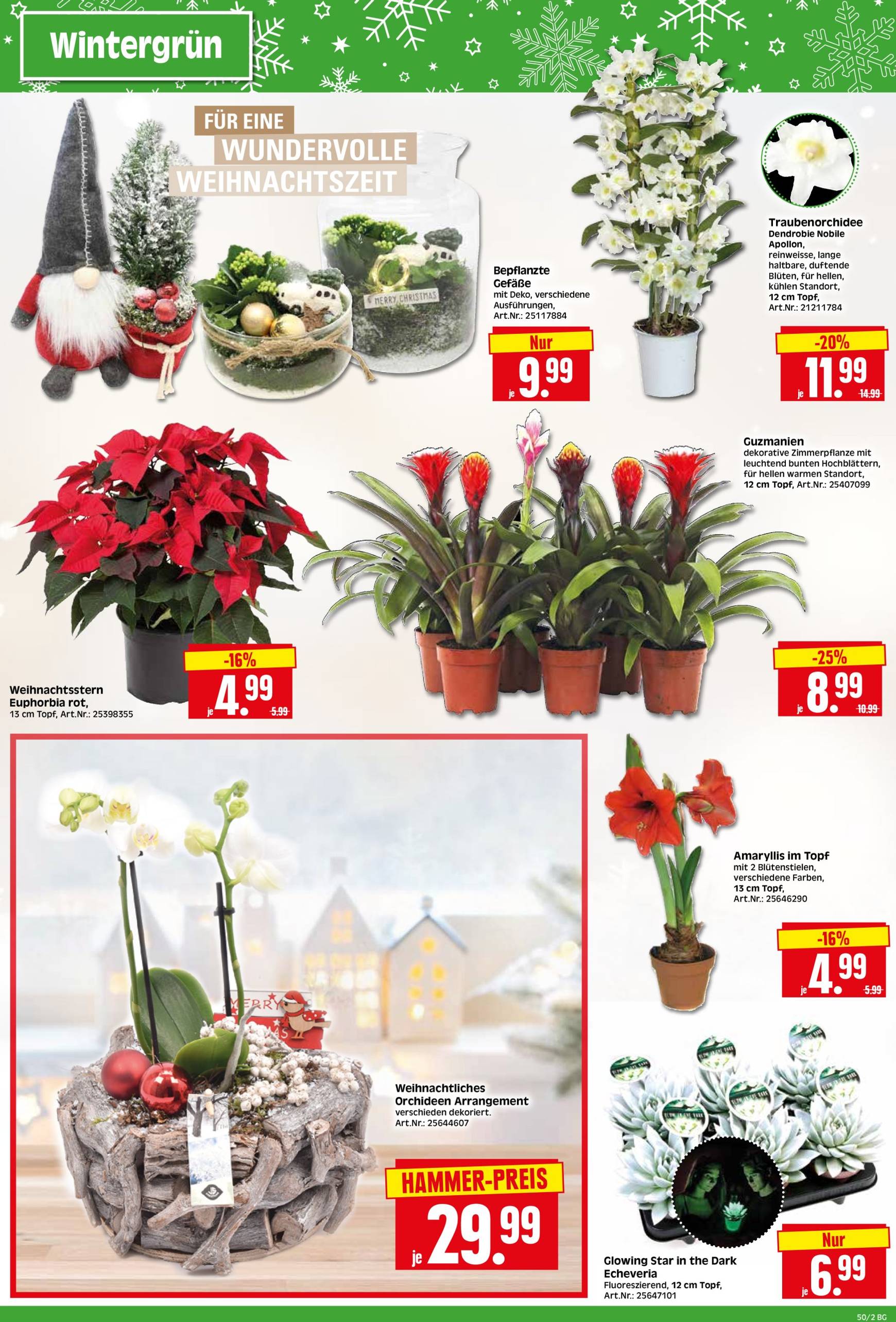 herkules - Herkules - Bau & Garten-Prospekt gültig von 09.12. bis 14.12. - page: 2