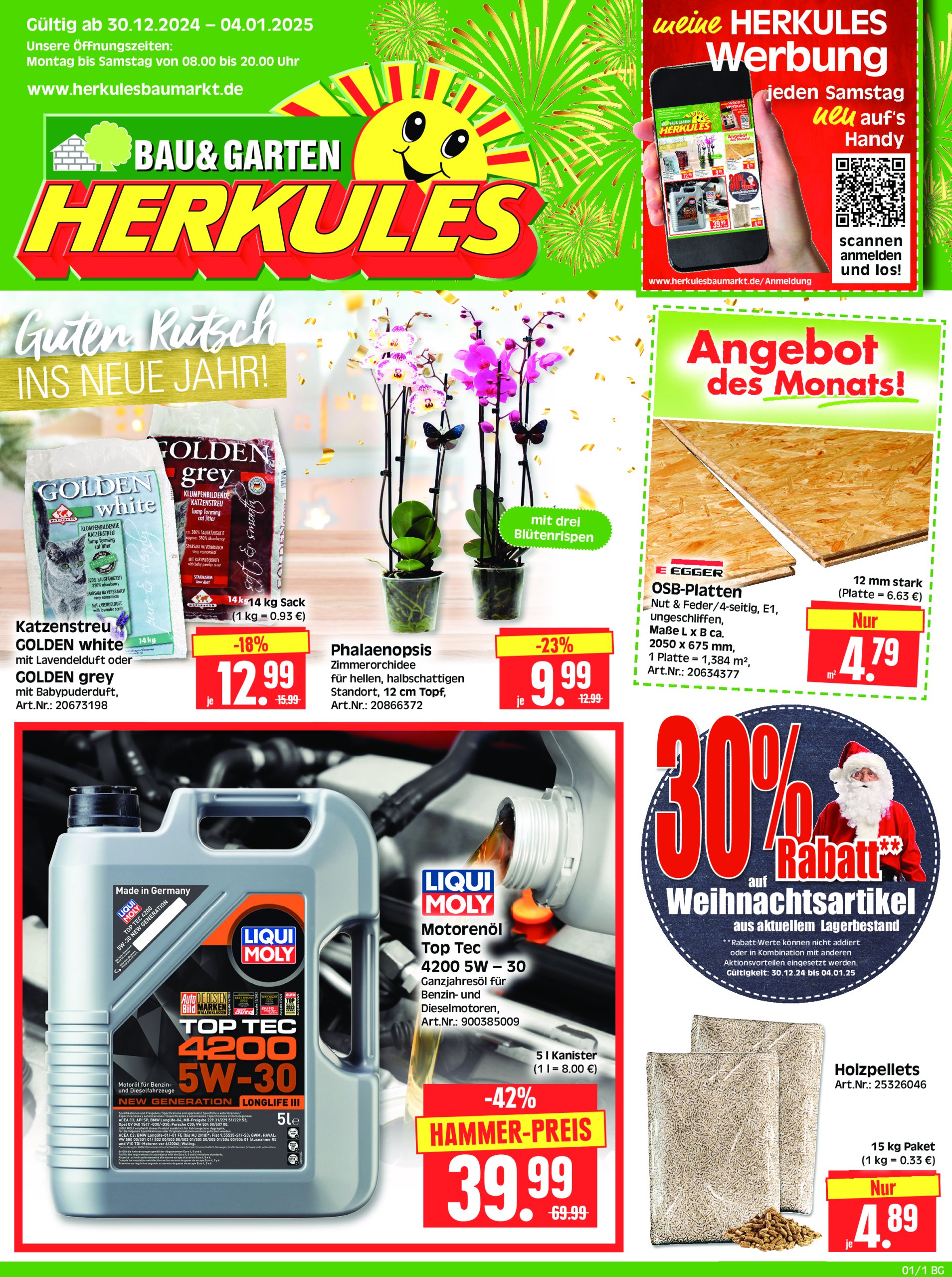 herkules - Herkules - Bau & Garten-Prospekt gültig von 30.12. bis 04.01.