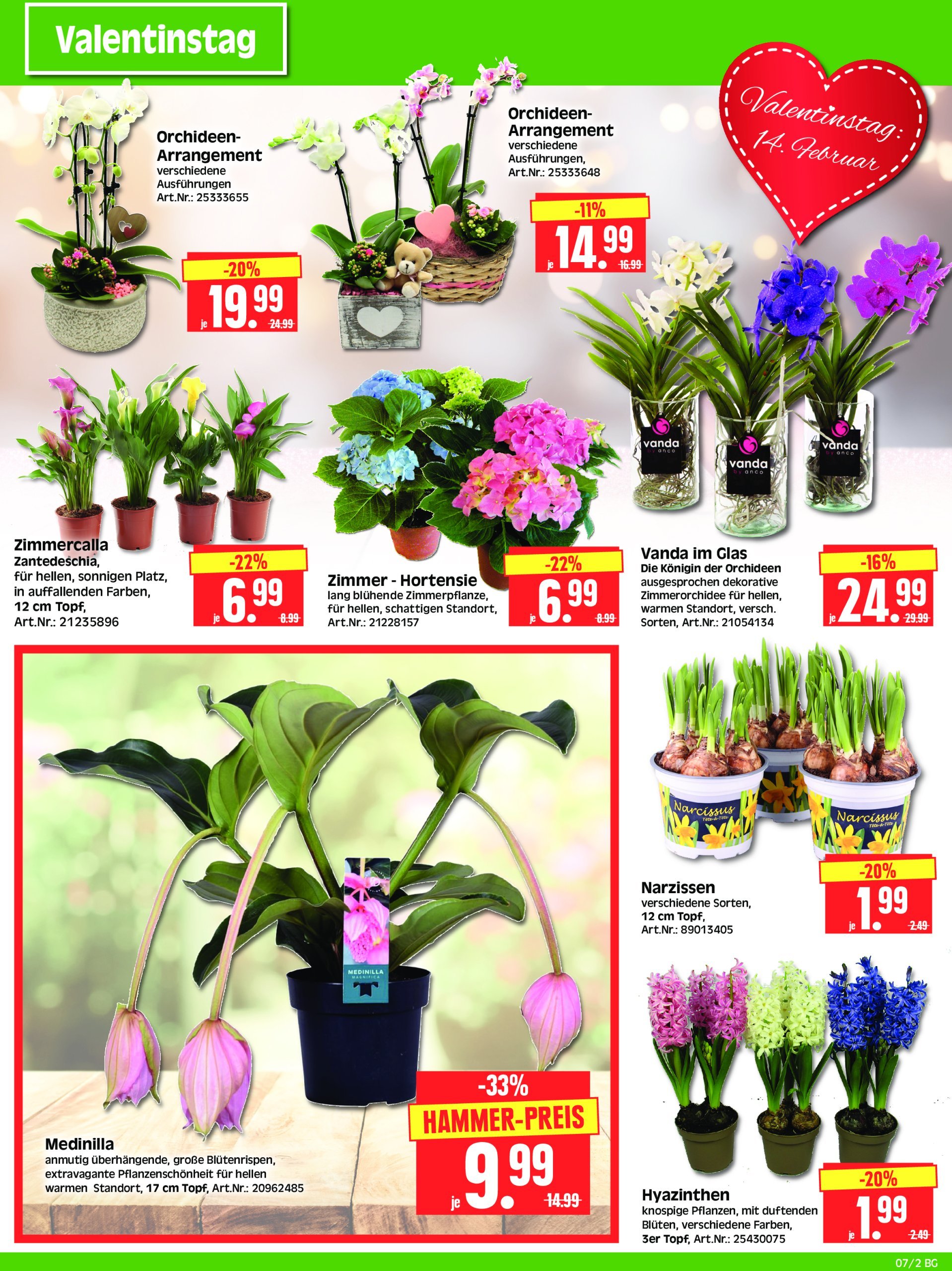 herkules - Herkules - Bau & Garten-Prospekt gültig von 10.02. bis 15.02. - page: 2