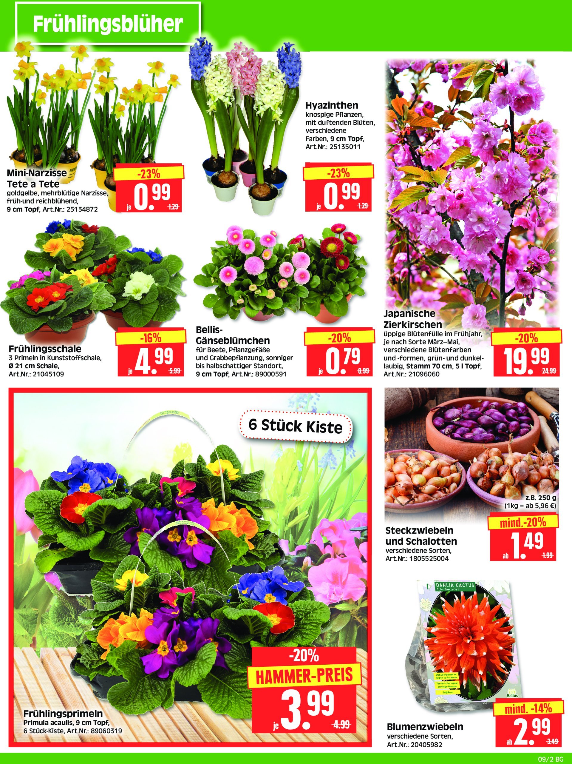 herkules - Herkules - Bau & Garten-Prospekt gültig von 24.02. bis 01.03. - page: 2