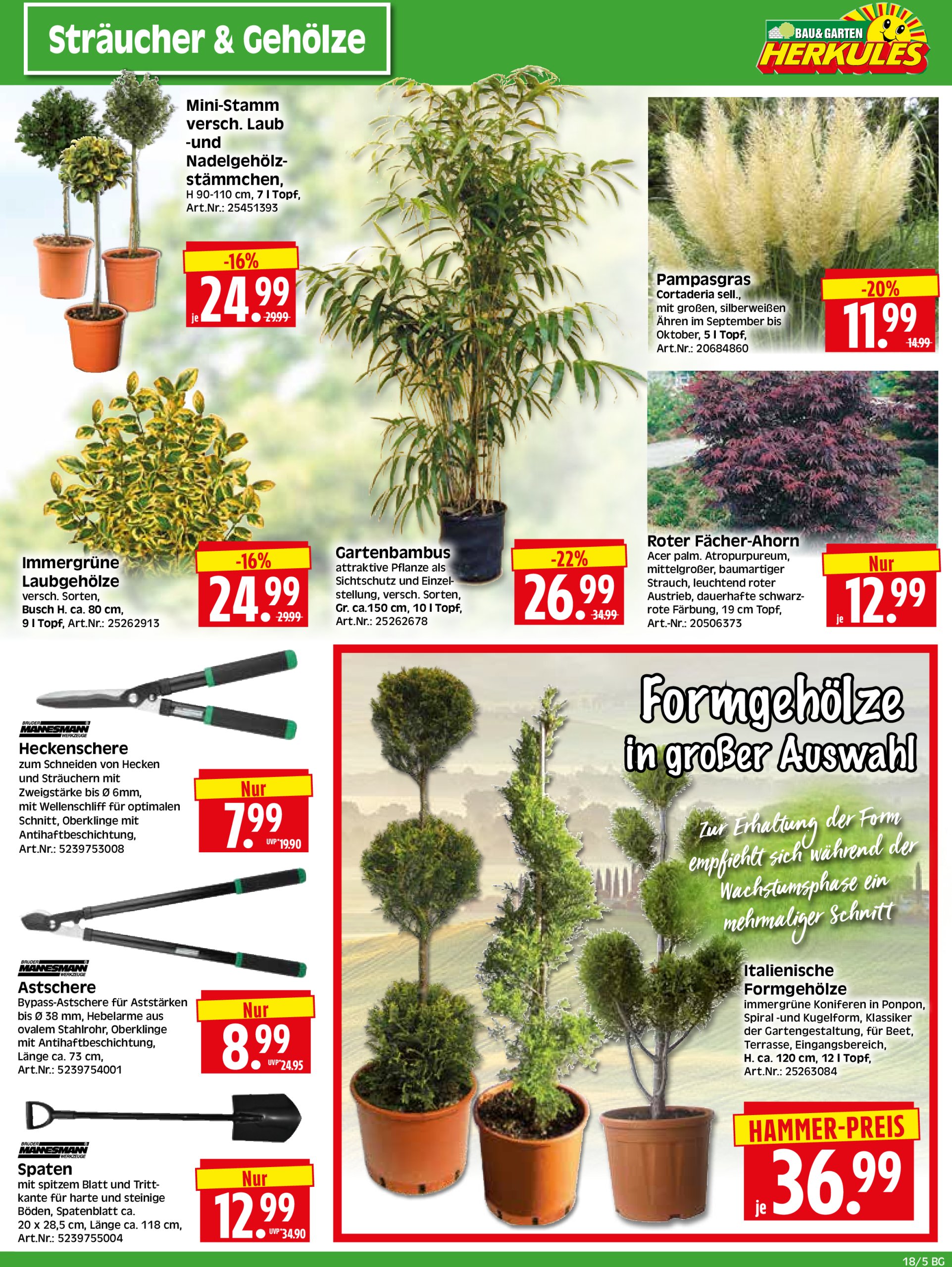 herkules - Herkules - Bau & Garten-Prospekt gültig von 28.04. bis 03.05. - page: 5