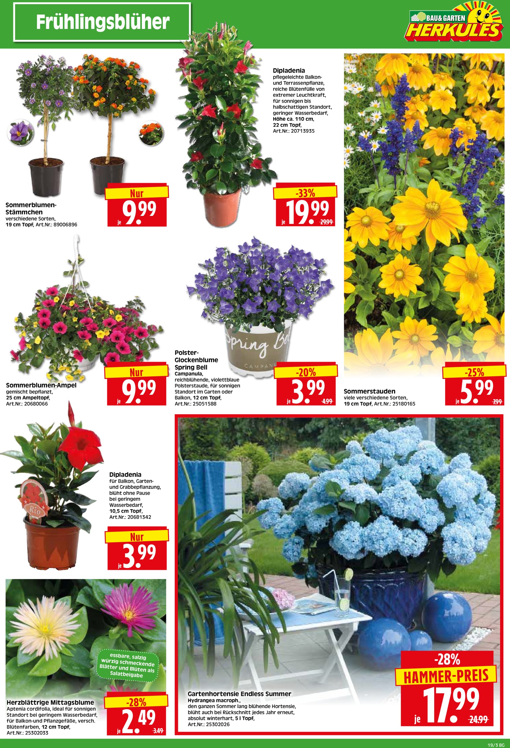 herkules - Herkules - Bau & Garten-Prospekt gültig von 05.05. bis 10.05. - page: 3