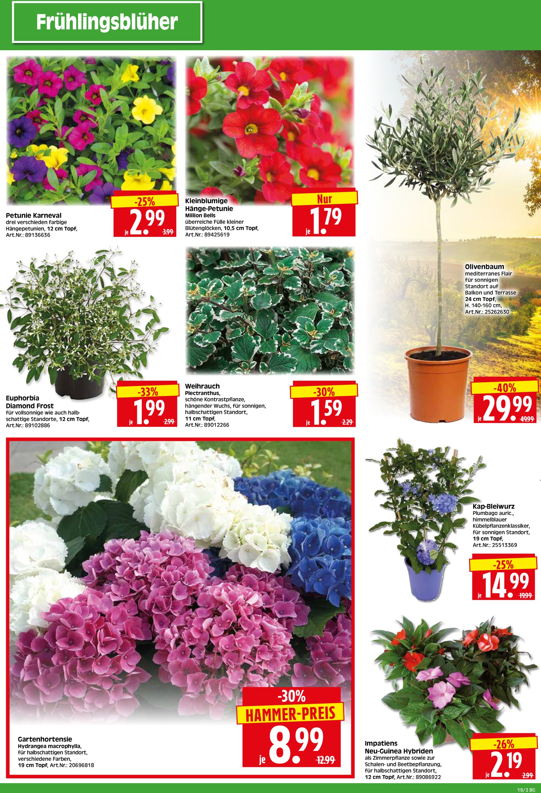 herkules - Herkules - Bau & Garten-Prospekt gültig von 05.05. bis 10.05. - page: 2