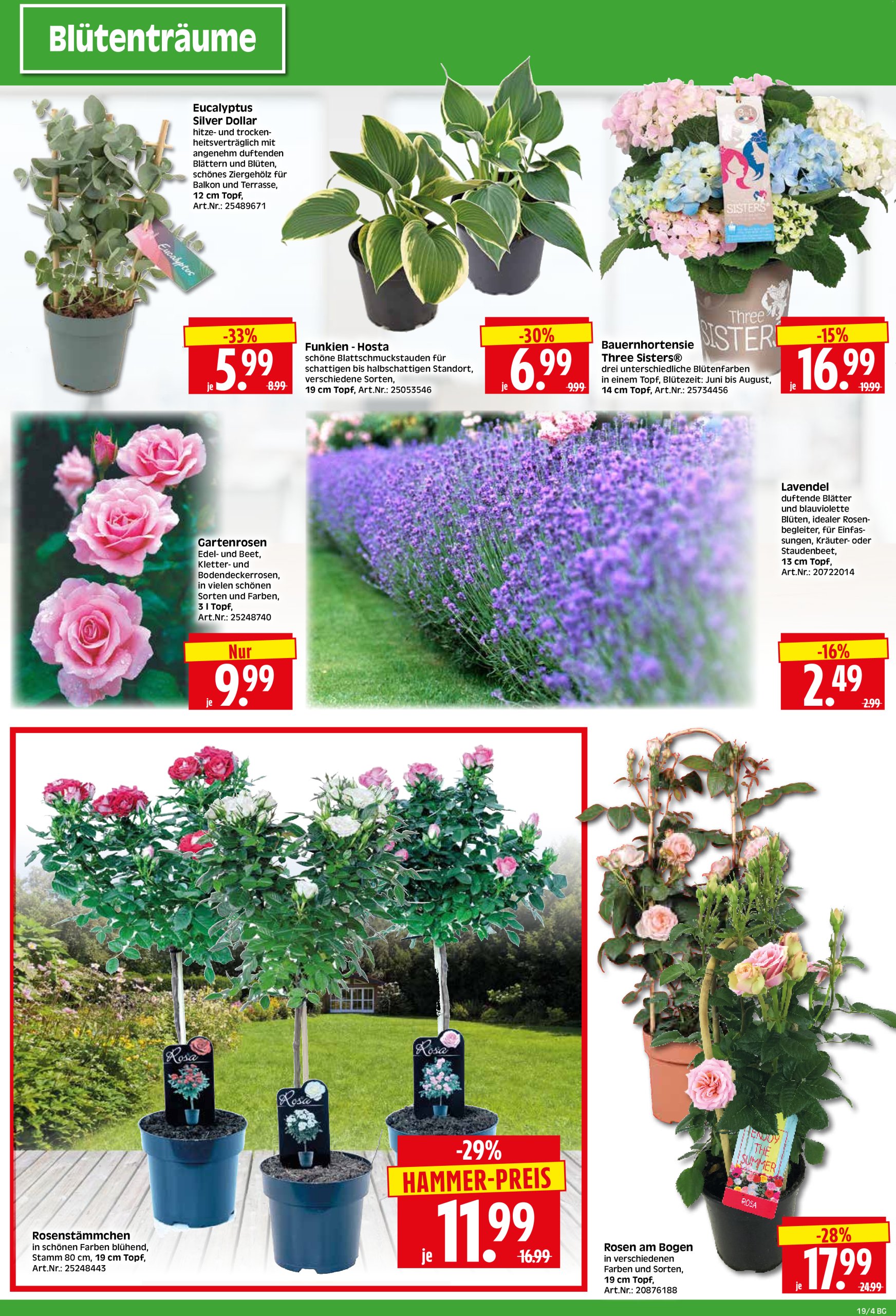herkules - Herkules - Bau & Garten-Prospekt gültig von 05.05. bis 10.05. - page: 4