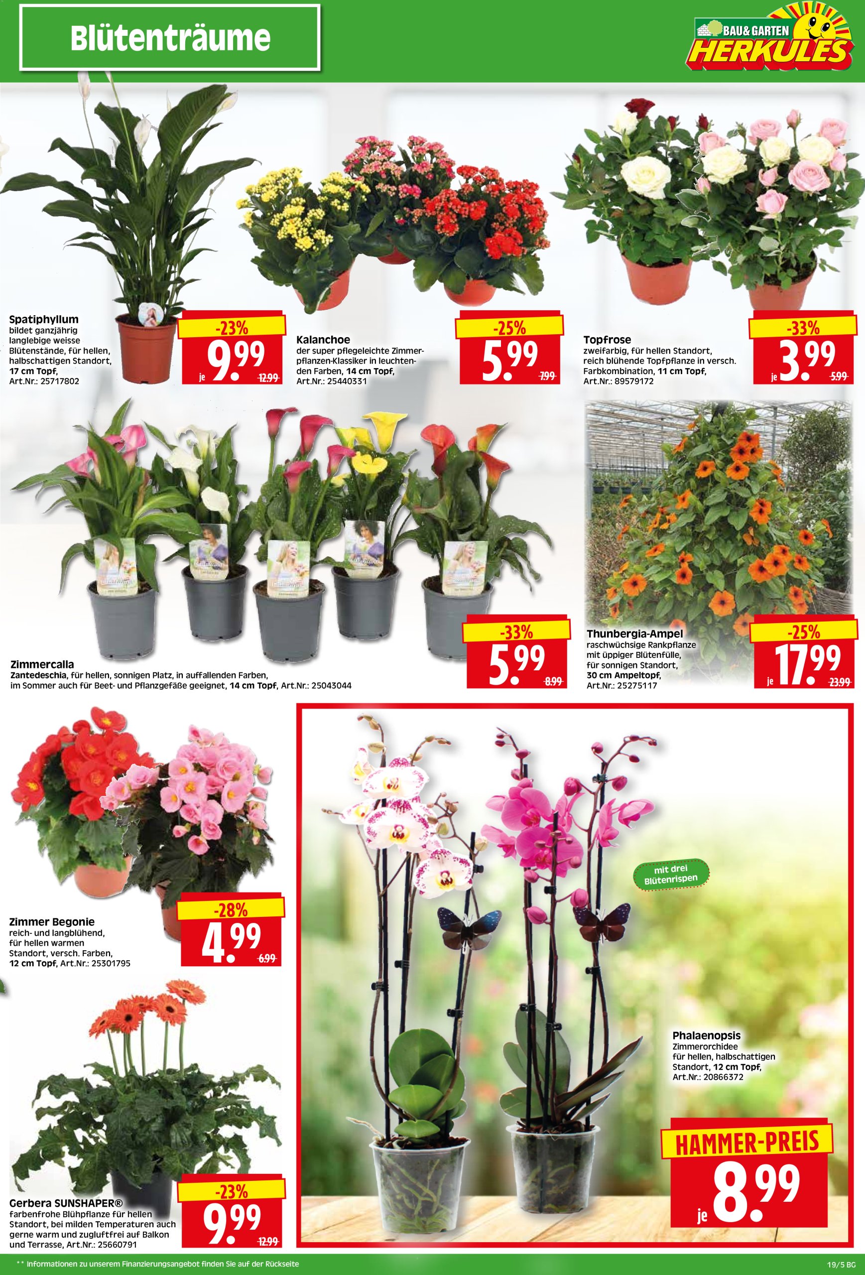 herkules - Herkules - Bau & Garten-Prospekt gültig von 05.05. bis 10.05. - page: 5