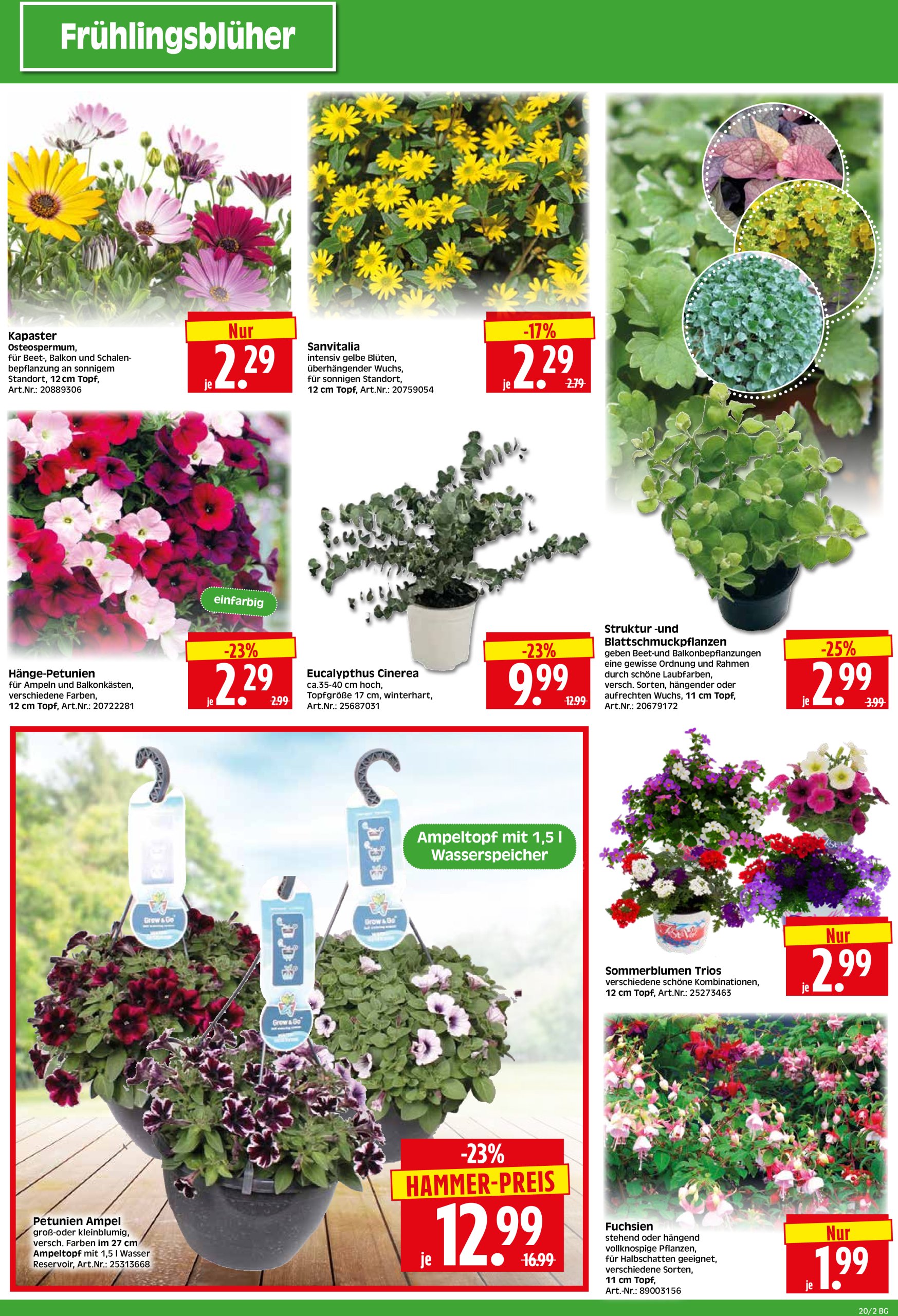 herkules - Herkules - Bau & Garten-Prospekt gültig von 12.05. bis 17.05. - page: 2