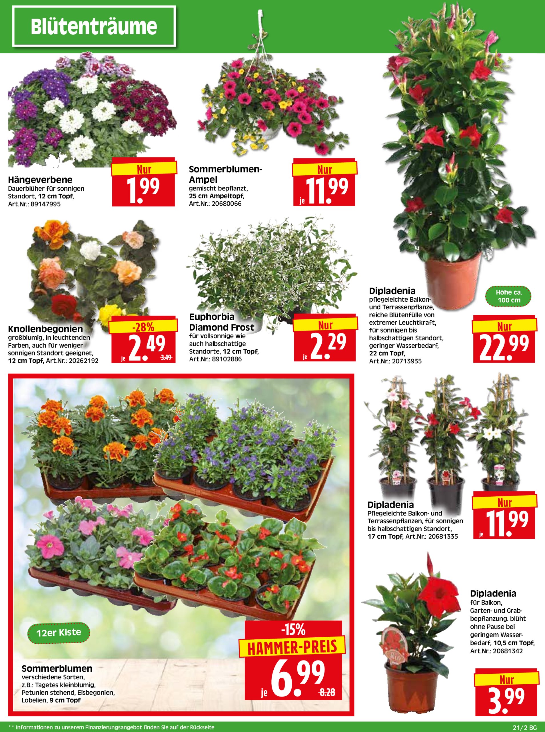 herkules - Herkules - Bau & Garten-Prospekt gültig von 19.05. bis 24.05. - page: 2