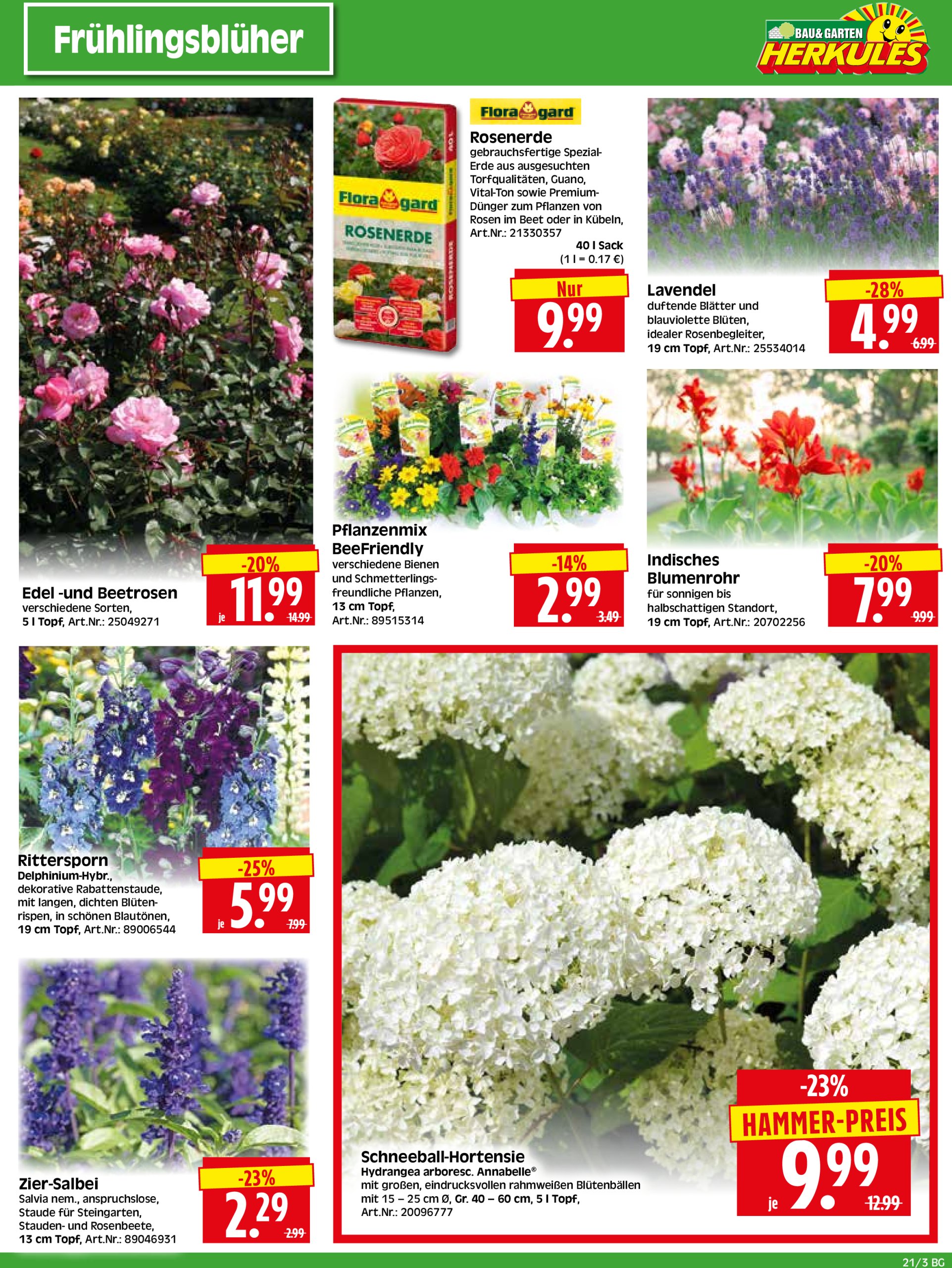 herkules - Herkules - Bau & Garten-Prospekt gültig von 19.05. bis 24.05. - page: 3