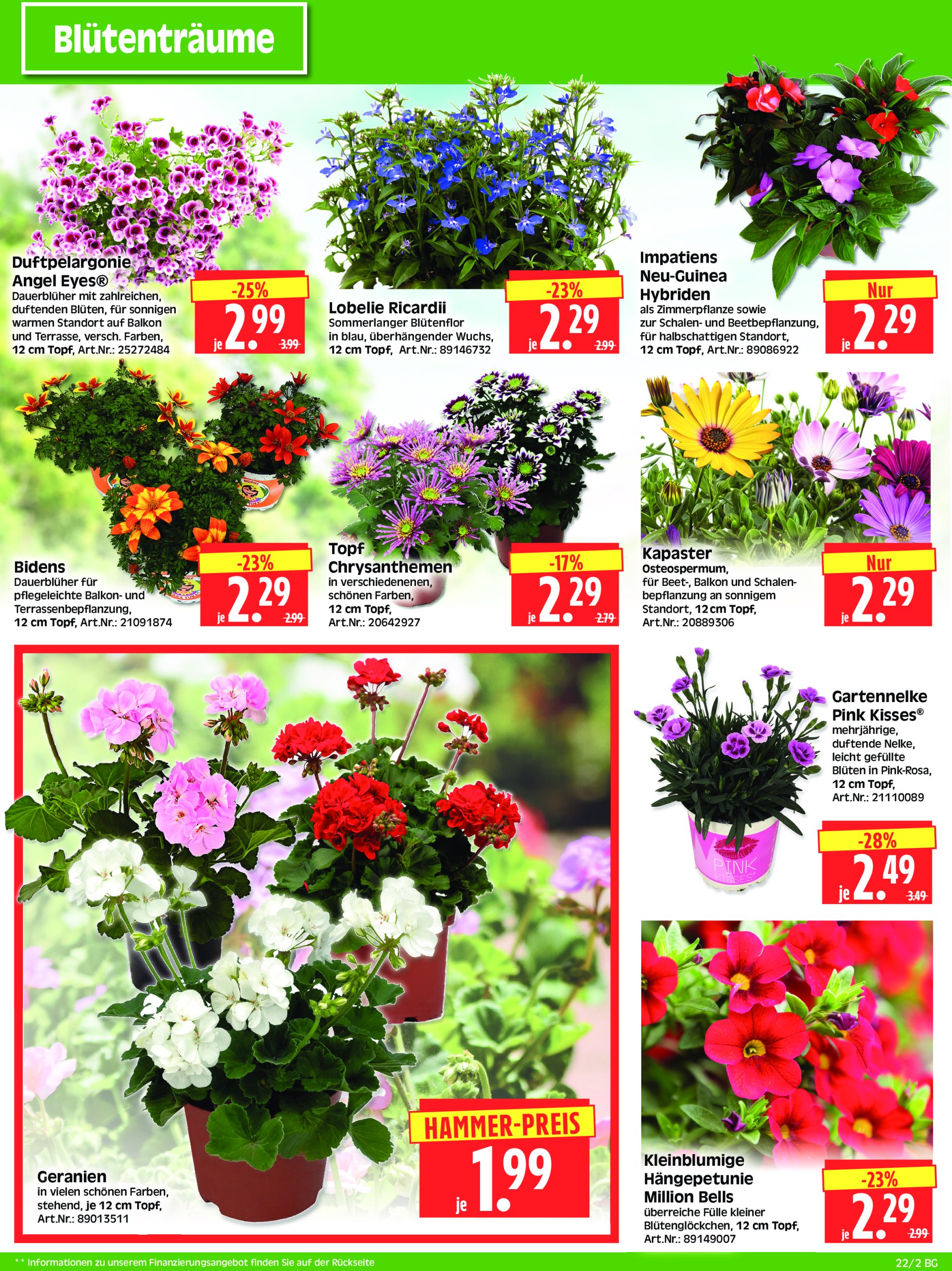 herkules - Herkules - Bau & Garten-Prospekt gültig von 26.05. bis 31.05. - page: 2