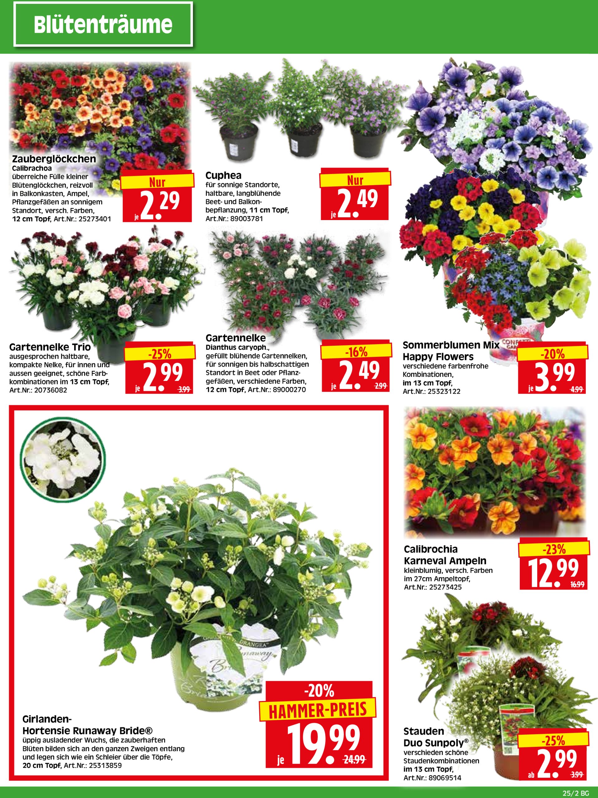 herkules - Herkules - Bau & Garten-Prospekt gültig vom 16.06. bis 21.06. - page: 2