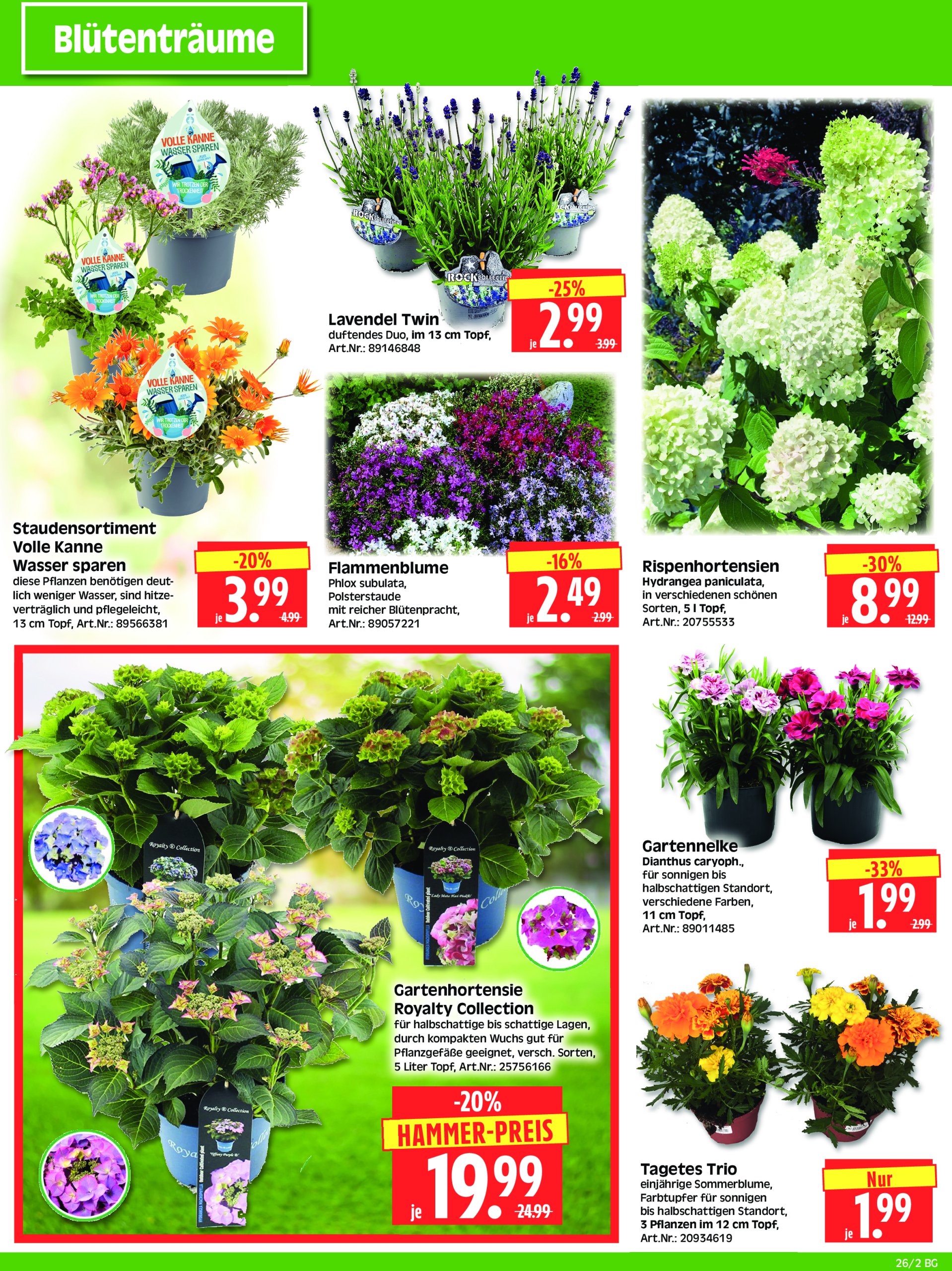 herkules - Herkules - Bau & Garten-Prospekt gültig vom 23.06. bis 28.06. - page: 2