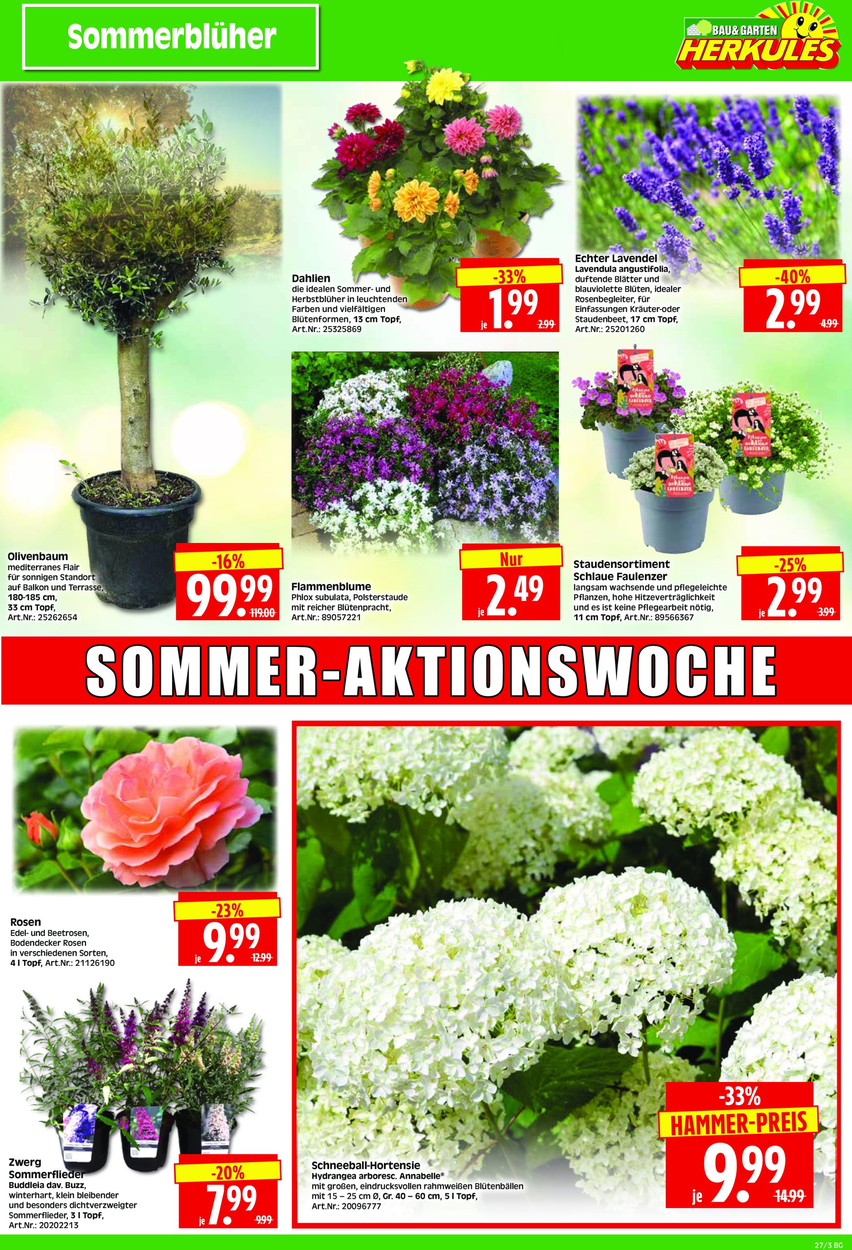 herkules - Herkules - Bau & Garten-Prospekt gültig vom 30.06. bis 05.07. - page: 3
