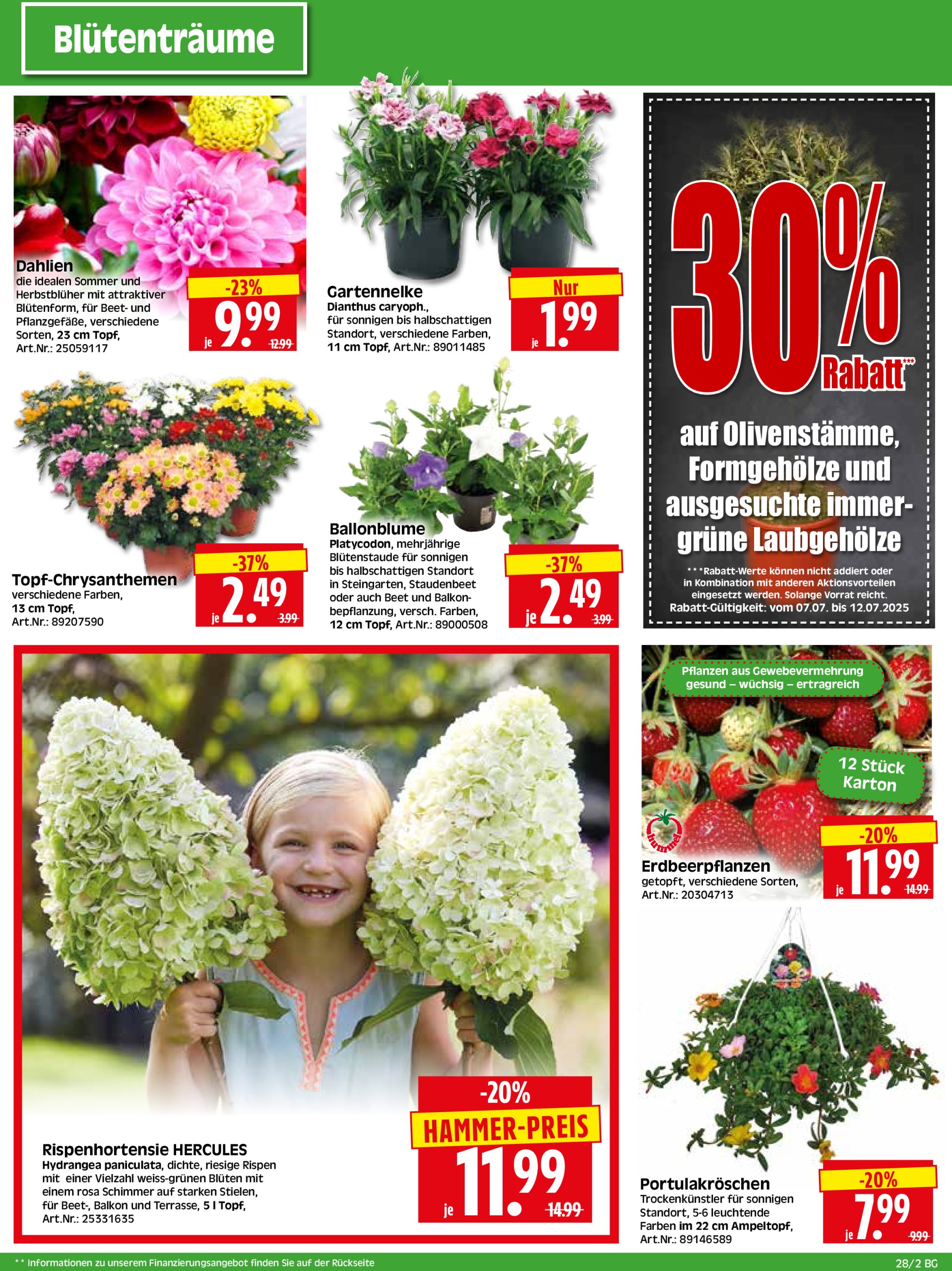 herkules - Herkules - Bau & Garten-Prospekt gültig vom 07.07. bis 12.07. - page: 2