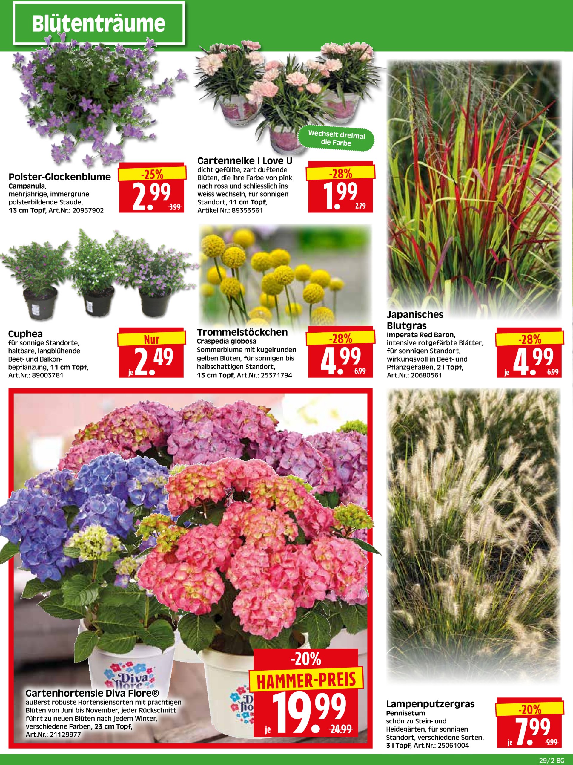 herkules - Herkules - Bau & Garten-Prospekt gültig vom 14.07. bis 19.07. - page: 2