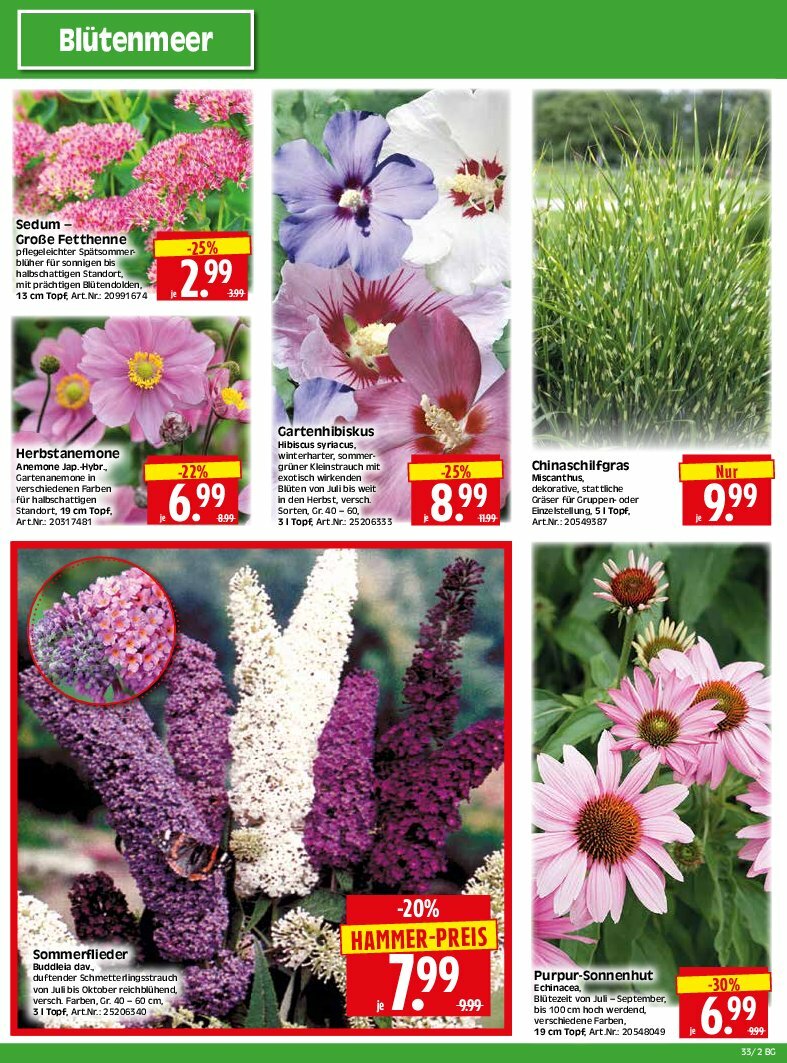 herkules - Herkules - Bau & Garten-Prospekt gültig vom 11.08. bis 16.08. - page: 2