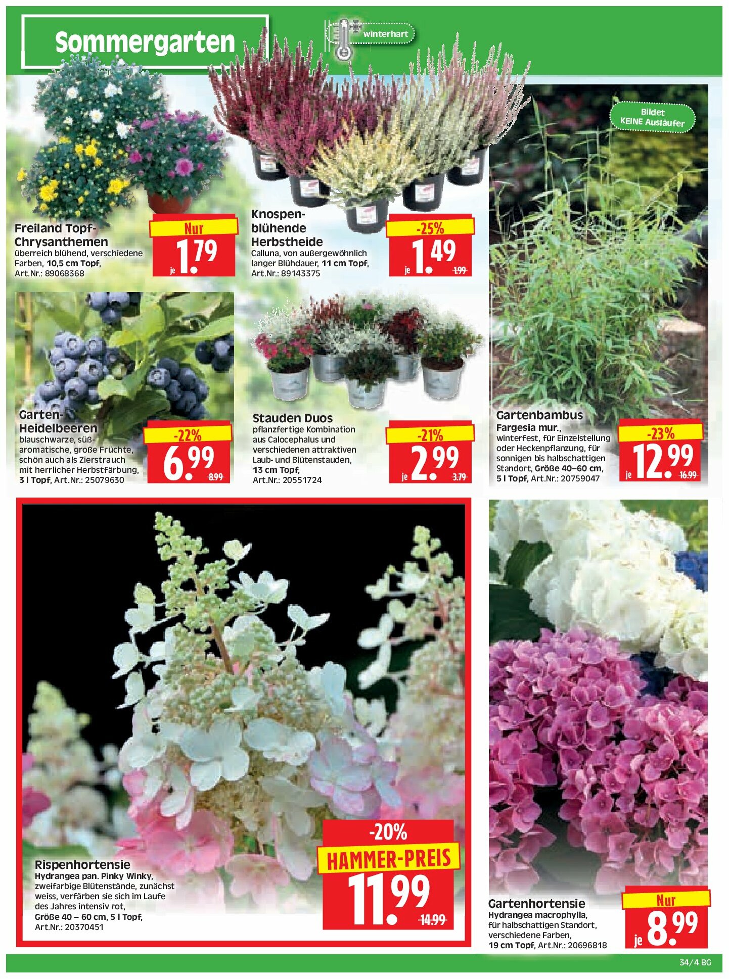 herkules - Herkules - Bau & Garten-Prospekt gültig vom 18.08. bis 23.08. - page: 4