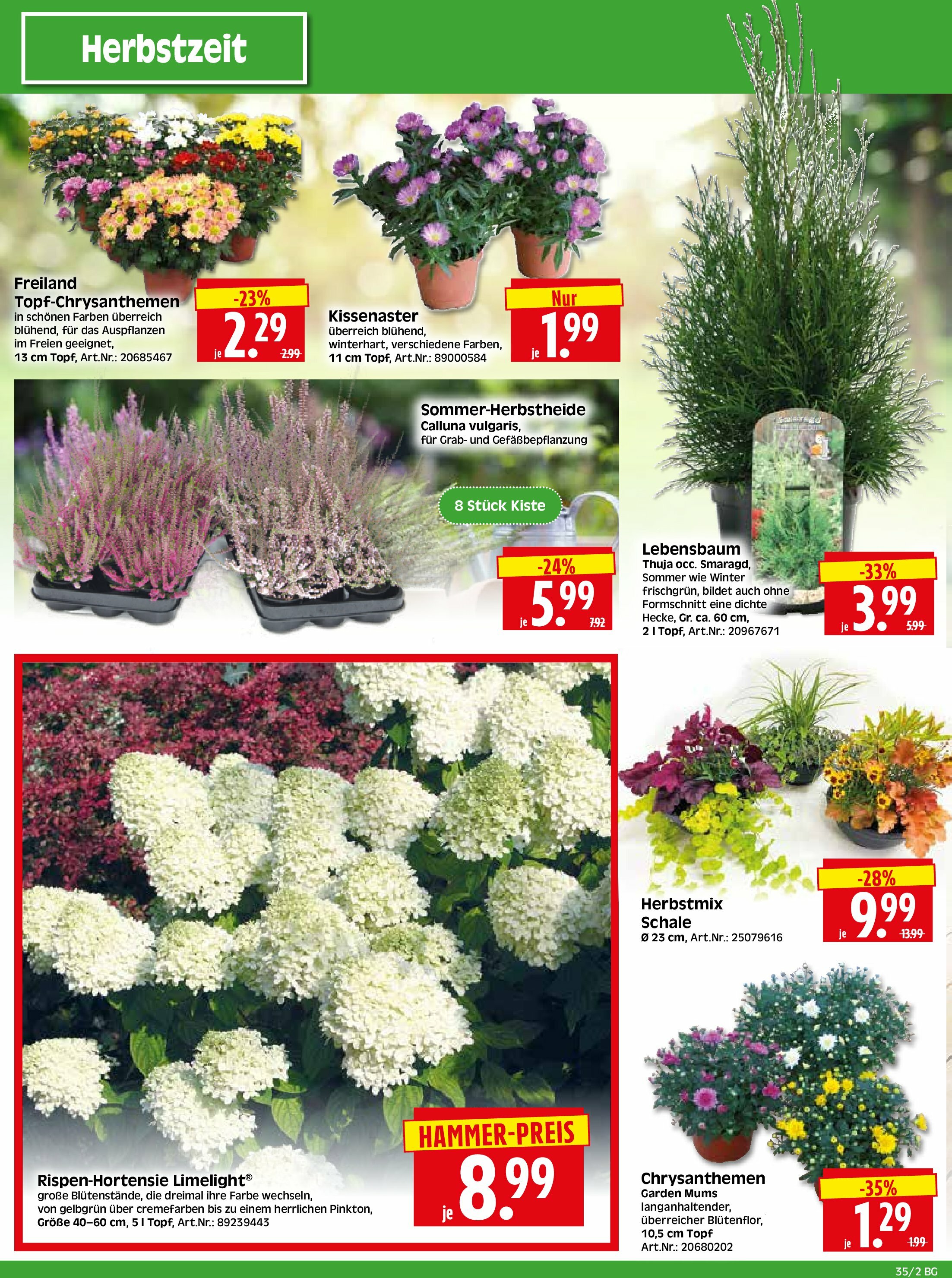 herkules - Herkules - Bau & Garten-Prospekt gültig vom 25.08. bis 30.08. - page: 2