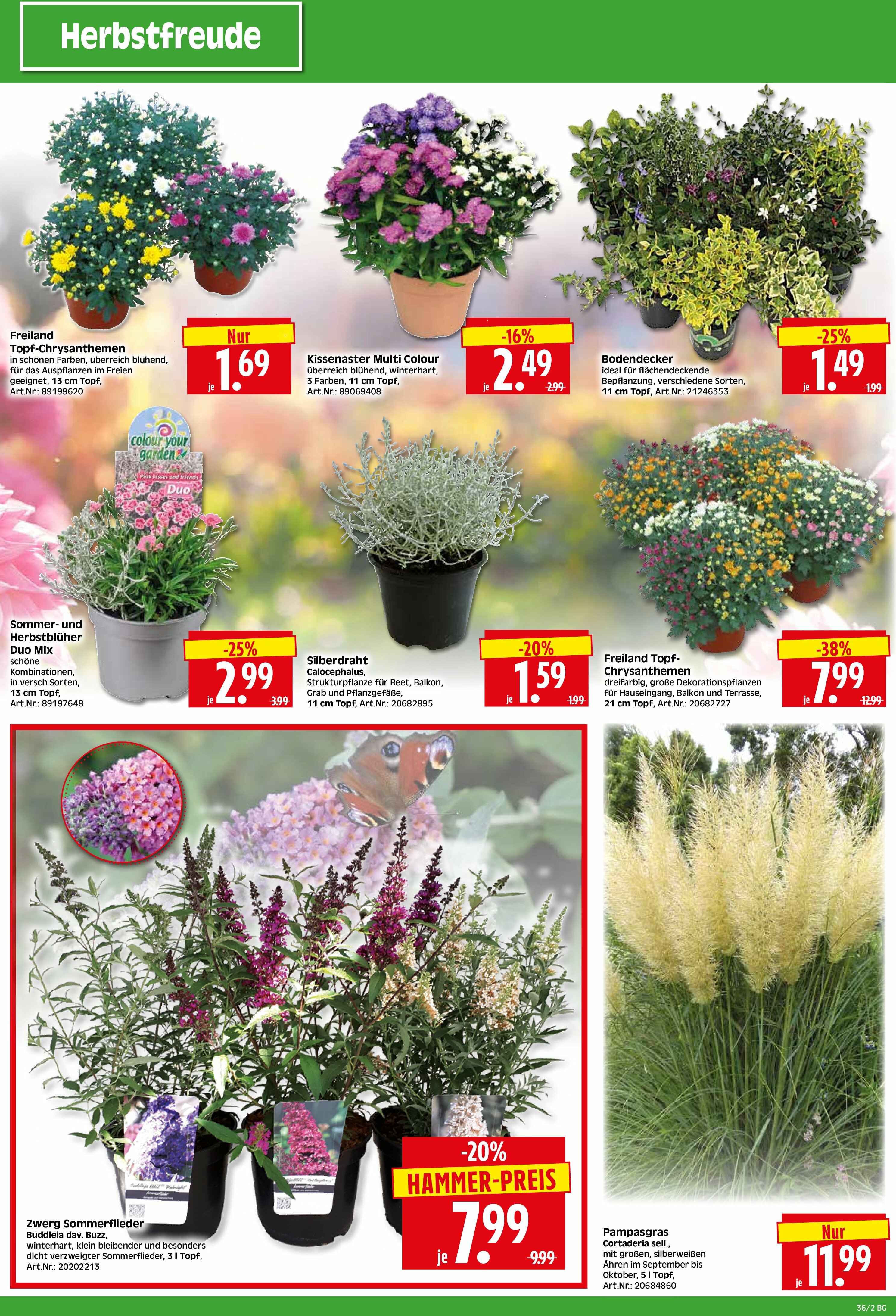 herkules - Herkules - Bau & Garten-Prospekt gültig vom 01.09. bis 06.09. - page: 2