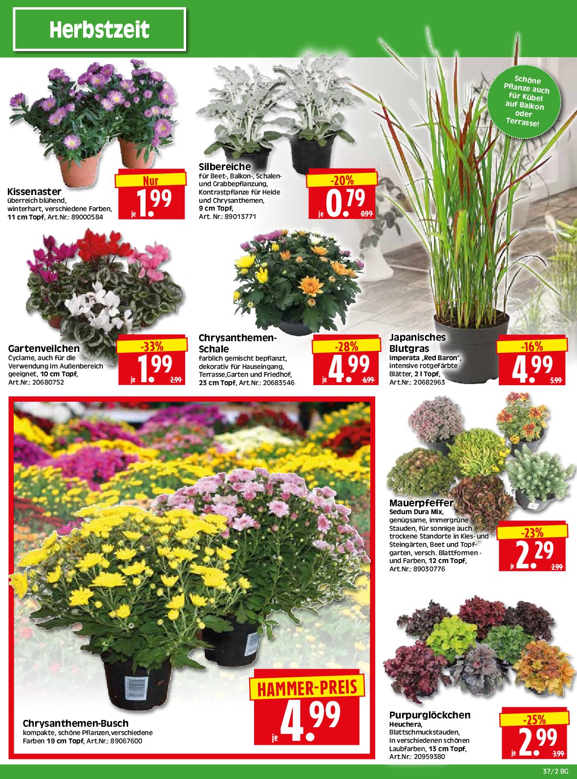 herkules - Herkules - Bau & Garten-Prospekt gültig vom 08.09. bis 13.09. - page: 2
