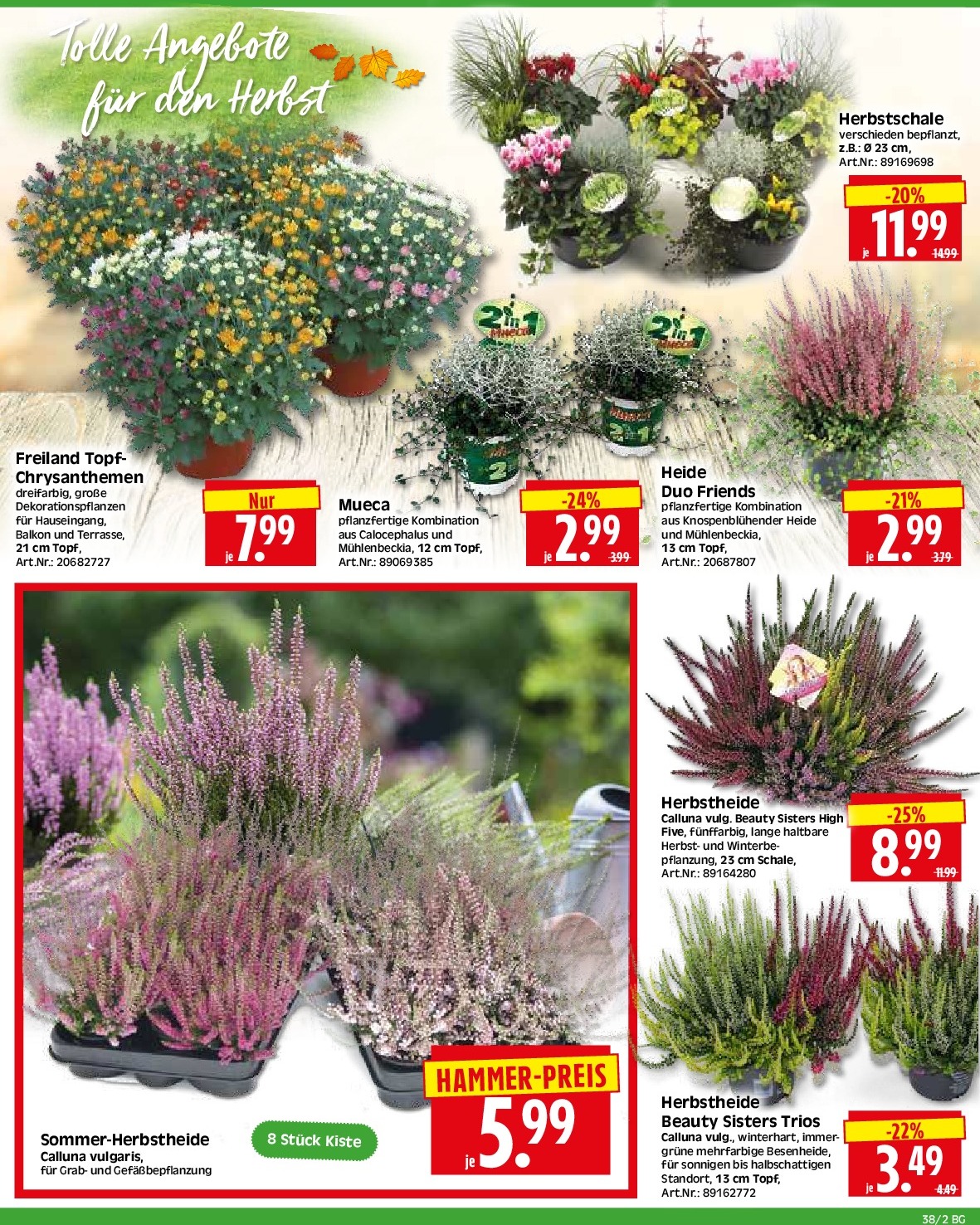 herkules - Herkules - Bau & Garten-Prospekt gültig vom 15.09. bis 20.09. - page: 2