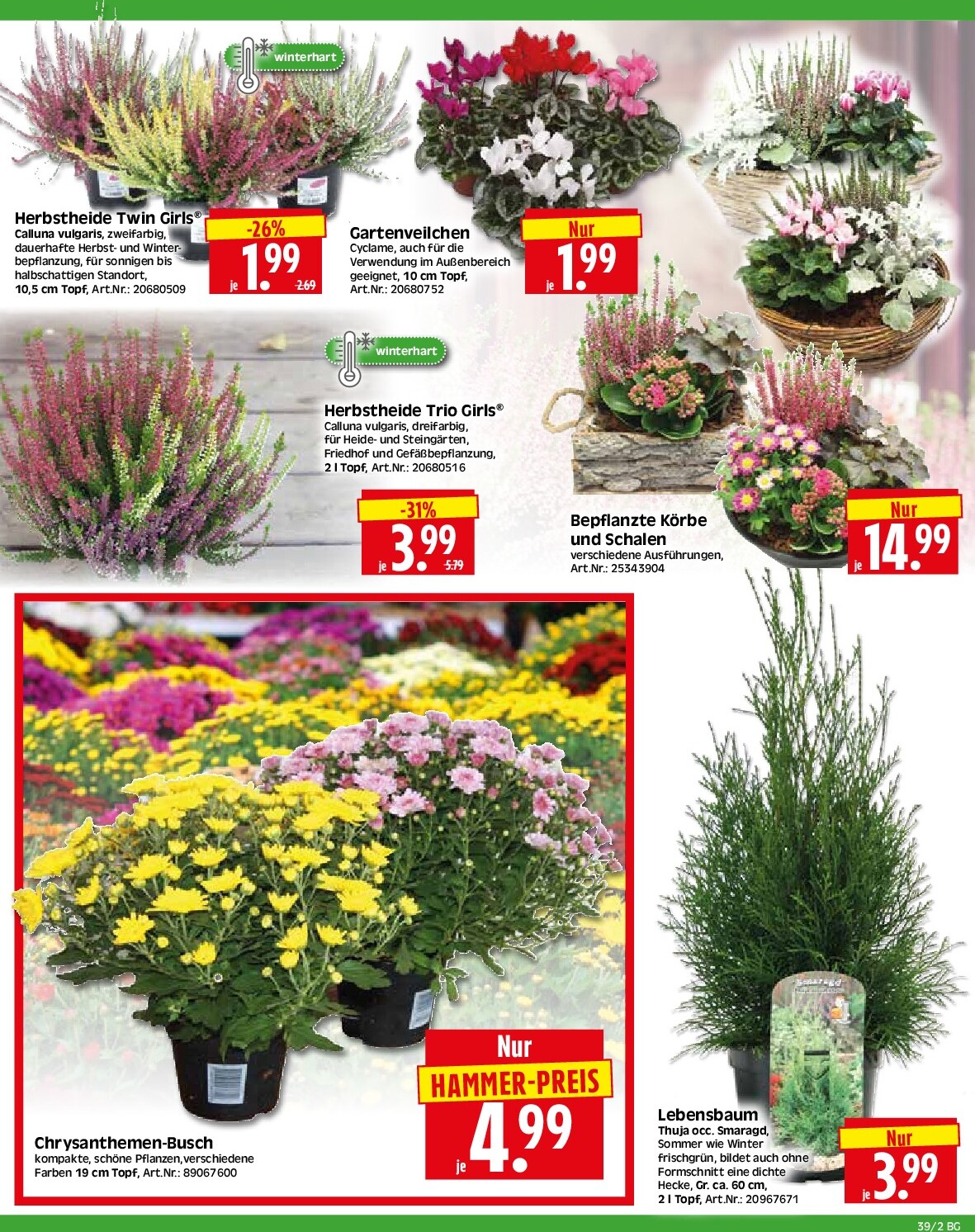 herkules - Herkules - Bau & Garten-Prospekt gültig vom 22.09. bis 27.09. - page: 2