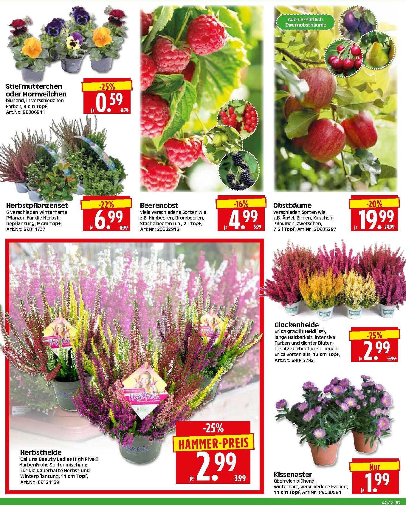 herkules - Herkules - Bau & Garten-Prospekt gültig vom 29.09. bis 04.10. - page: 2