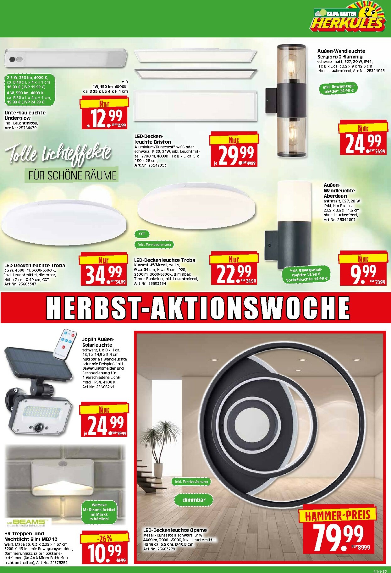 herkules - Herkules - Bau & Garten-Prospekt gültig vom 06.10. bis 11.10. - page: 9