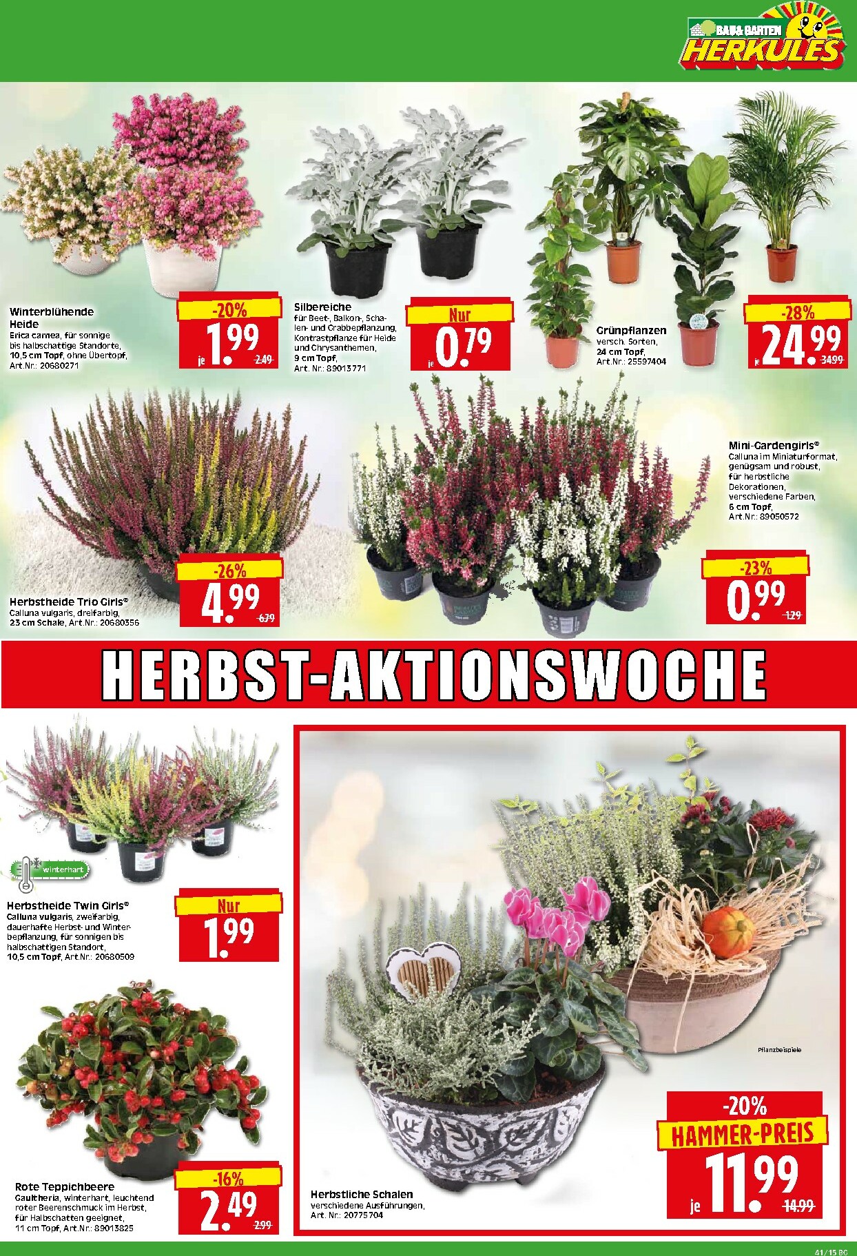 herkules - Herkules - Bau & Garten-Prospekt gültig vom 06.10. bis 11.10. - page: 15