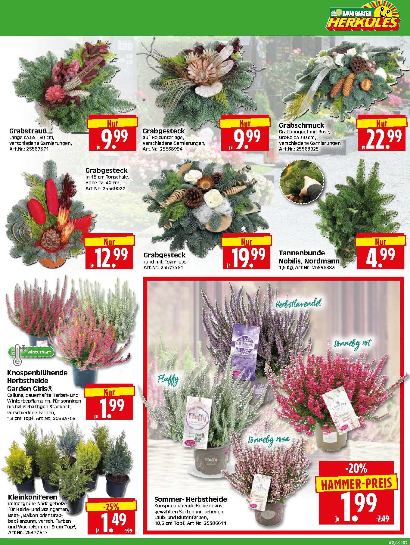 herkules - Herkules - Bau & Garten-Prospekt gültig vom 13.10. bis 19.10. - page: 3