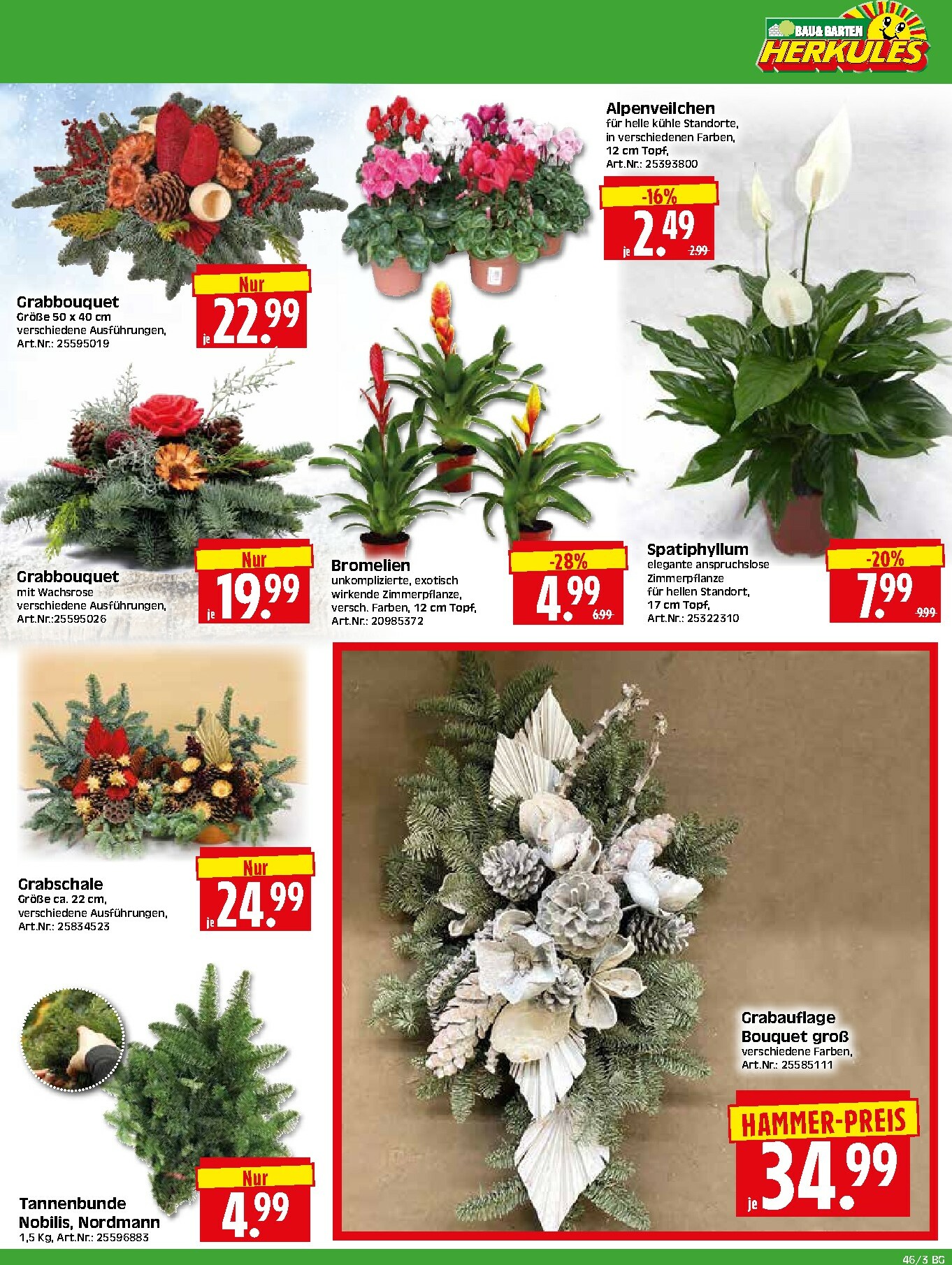 herkules - Herkules - Bau & Garten-Prospekt gültig vom 10.11. bis 15.11. - page: 3