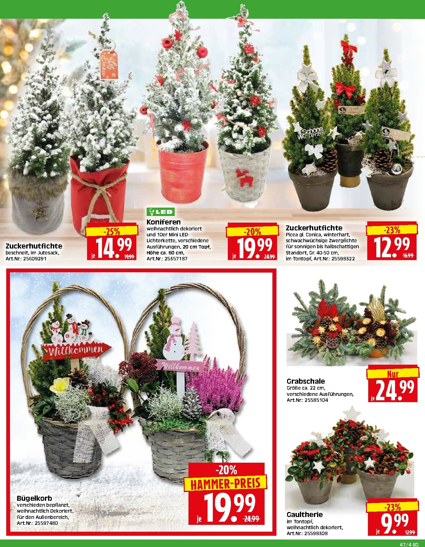 herkules - Herkules - Bau & Garten-Prospekt gültig vom 17.11. bis 22.11. - page: 4