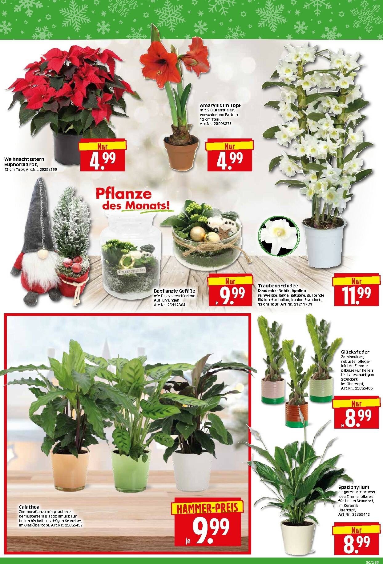 herkules - Herkules - Bau & Garten-Prospekt gültig vom 08.12. bis 13.12. - page: 2