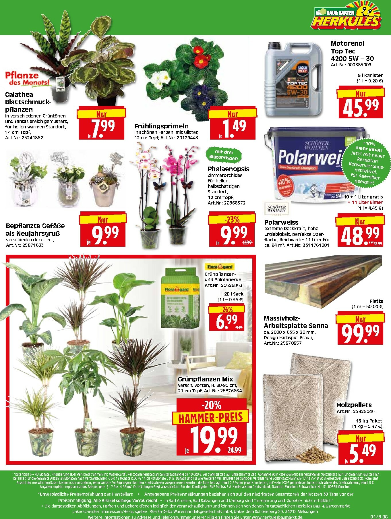 herkules - Herkules - Bau & Garten-Prospekt gültig vom 29.12. bis 03.01. - page: 8