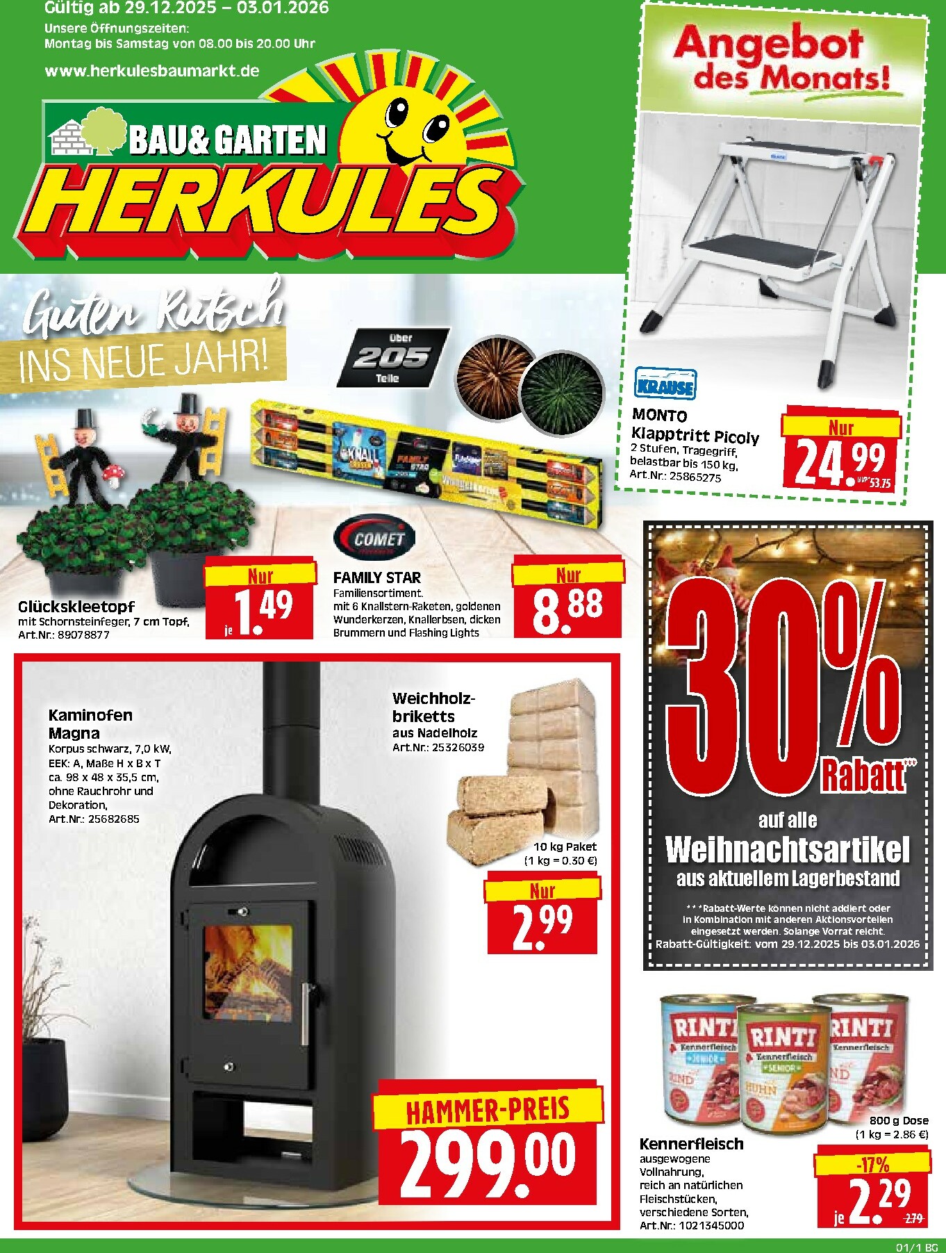 herkules - Herkules - Bau & Garten-Prospekt gültig vom 29.12. bis 03.01.