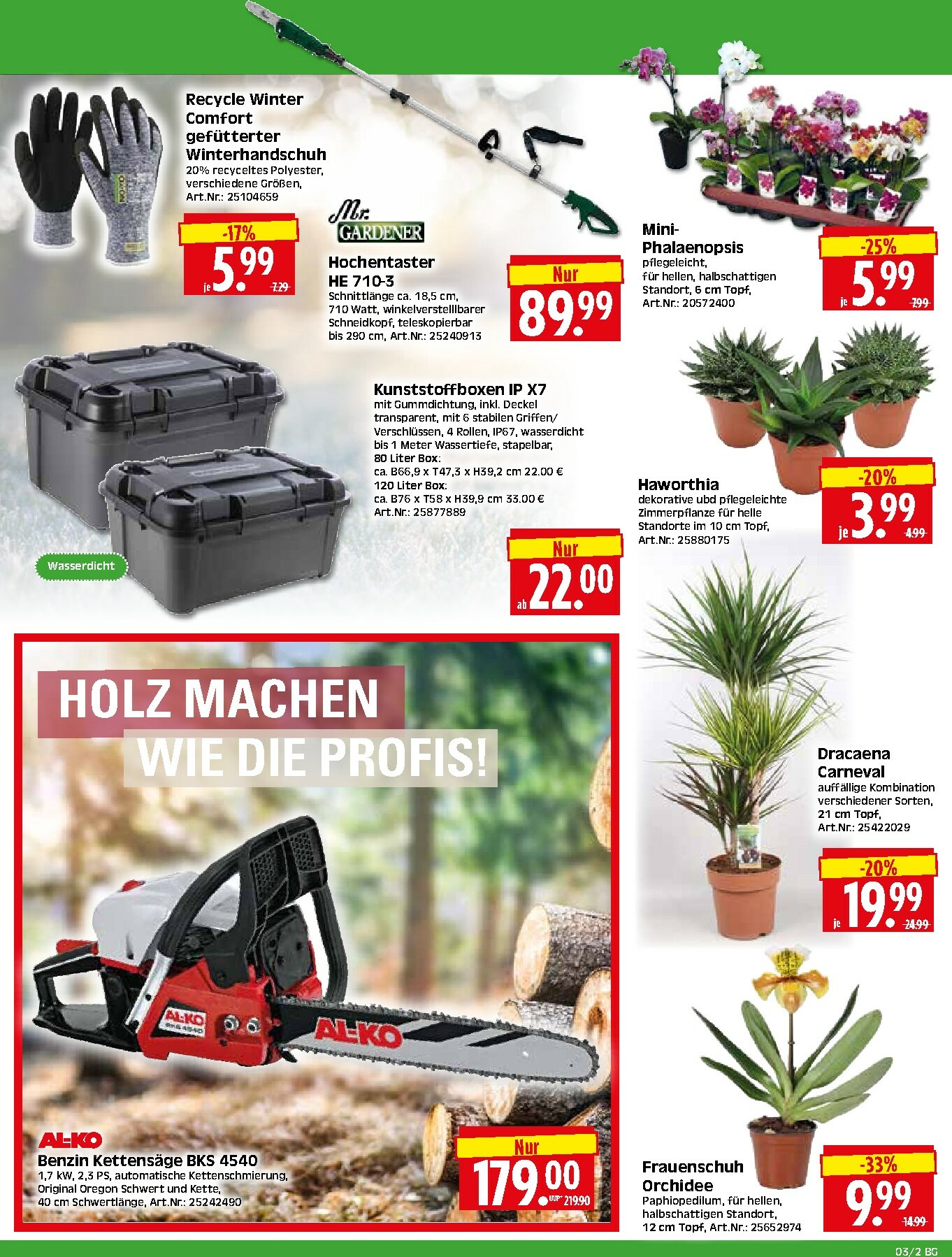 herkules - Herkules - Bau & Garten-Prospekt gültig vom 12.01. bis 17.01. - page: 2