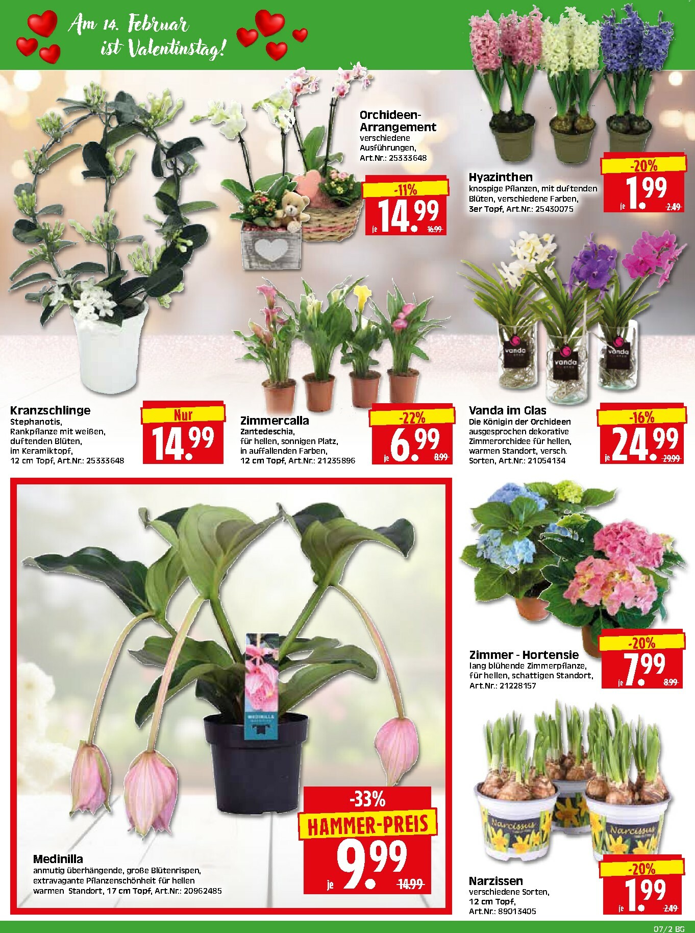 herkules - Herkules - Bau & Garten-Prospekt gültig vom 09.02.2026 bis 14.02.2026 - page: 2