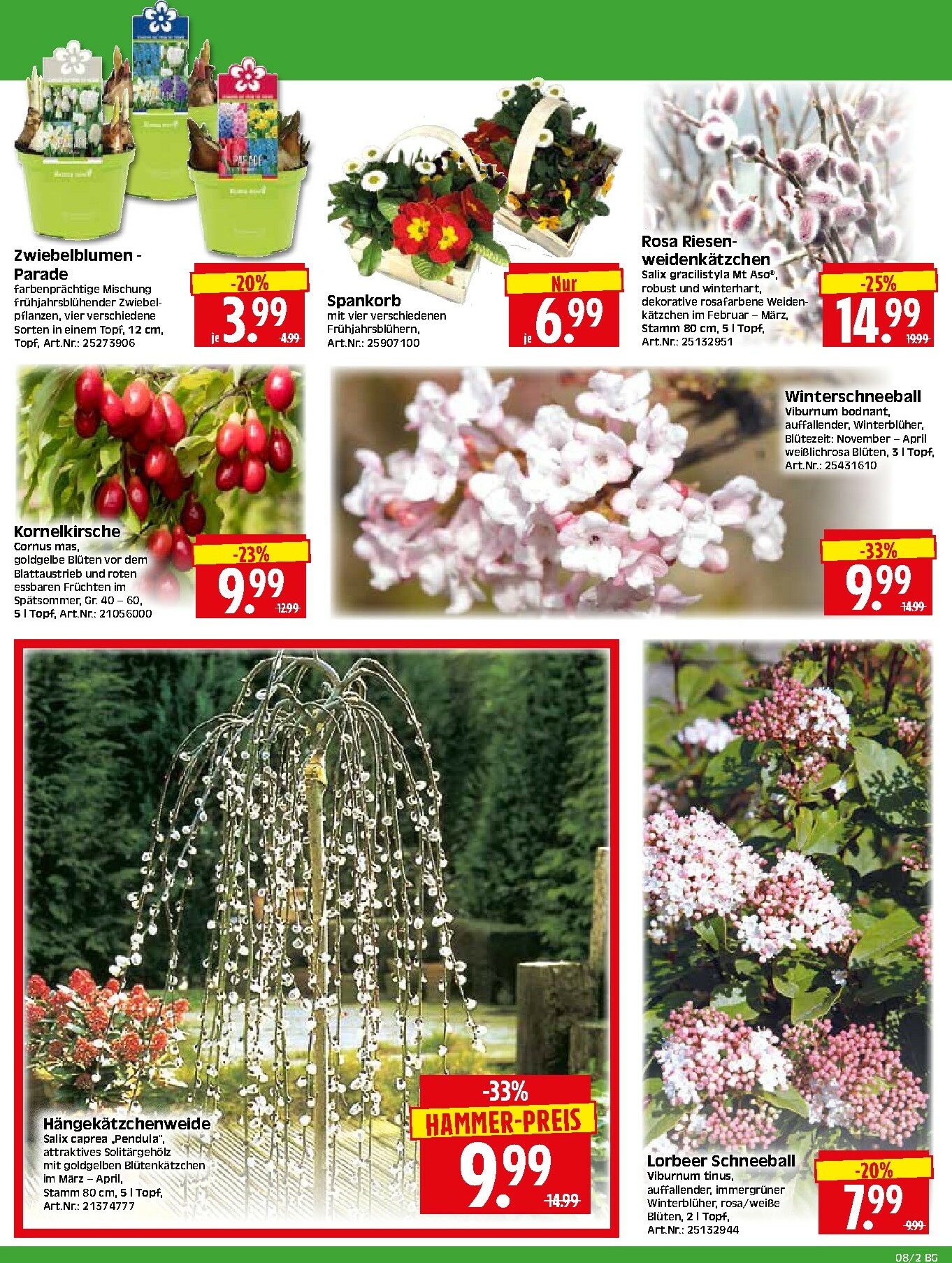 herkules - Herkules - Bau & Garten-Prospekt gültig vom 16.02.2026 bis 21.02.2026 - page: 2