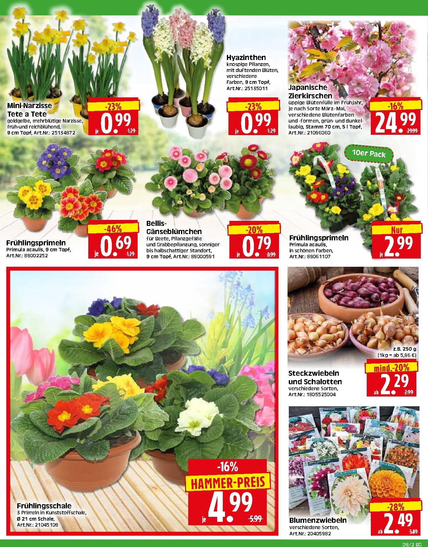 herkules - Herkules - Bau & Garten-Prospekt gültig vom 23.02.2026 bis 28.02.2026 - page: 2