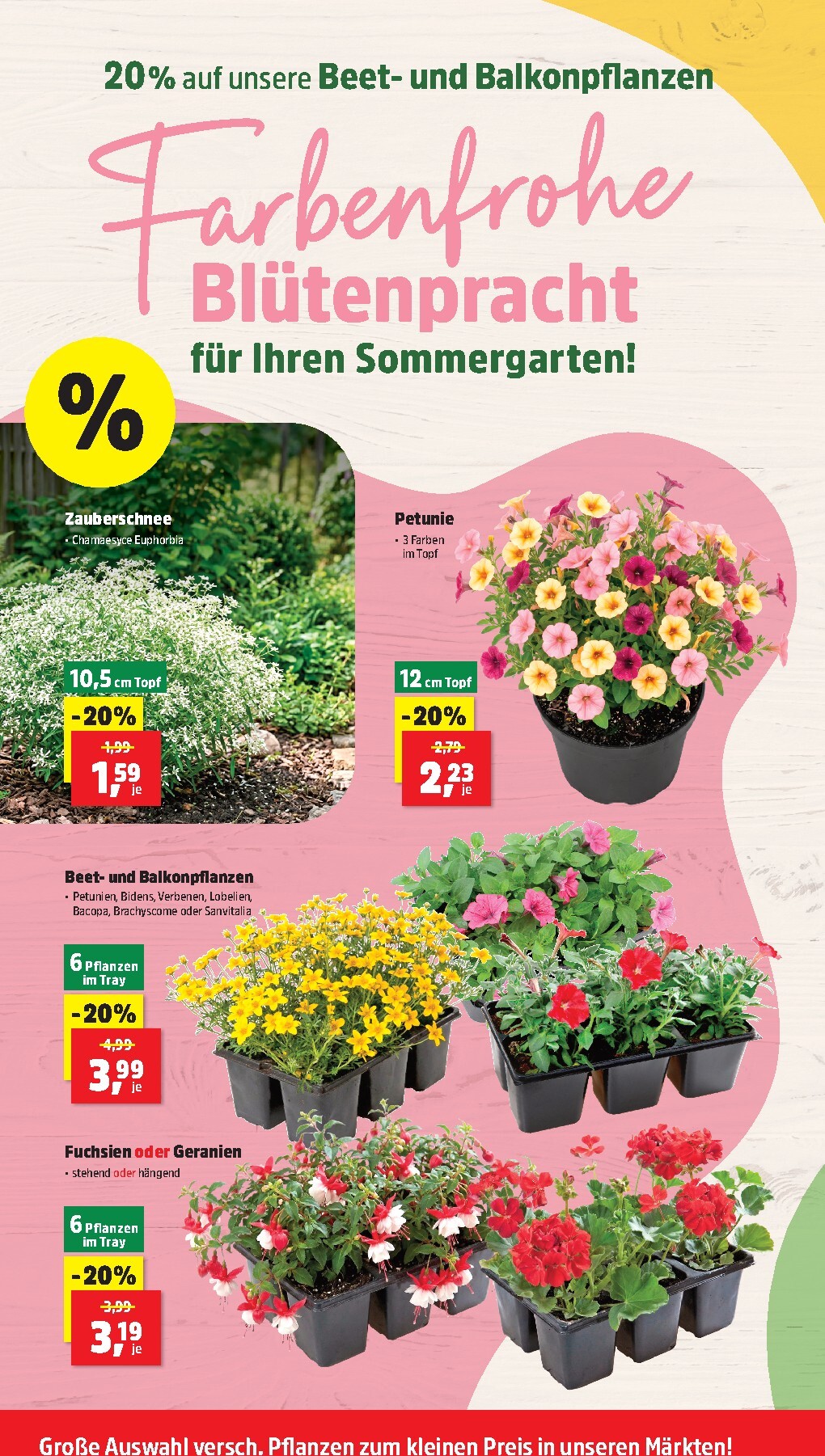 thomas-phillips - Thomas Phillips Prospekt nächste Woche – von Montag 08.06.2026 bis Samstag 13.06.2026 - page: 6