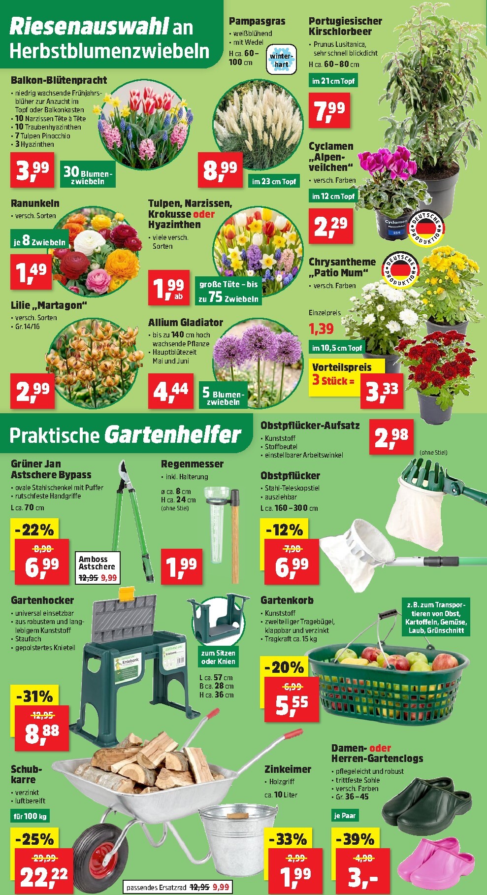 thomas-phillips - Thomas Phillips Prospekt nächste Woche – von Montag 21.09.2026 bis Samstag 26.09.2026 - page: 2