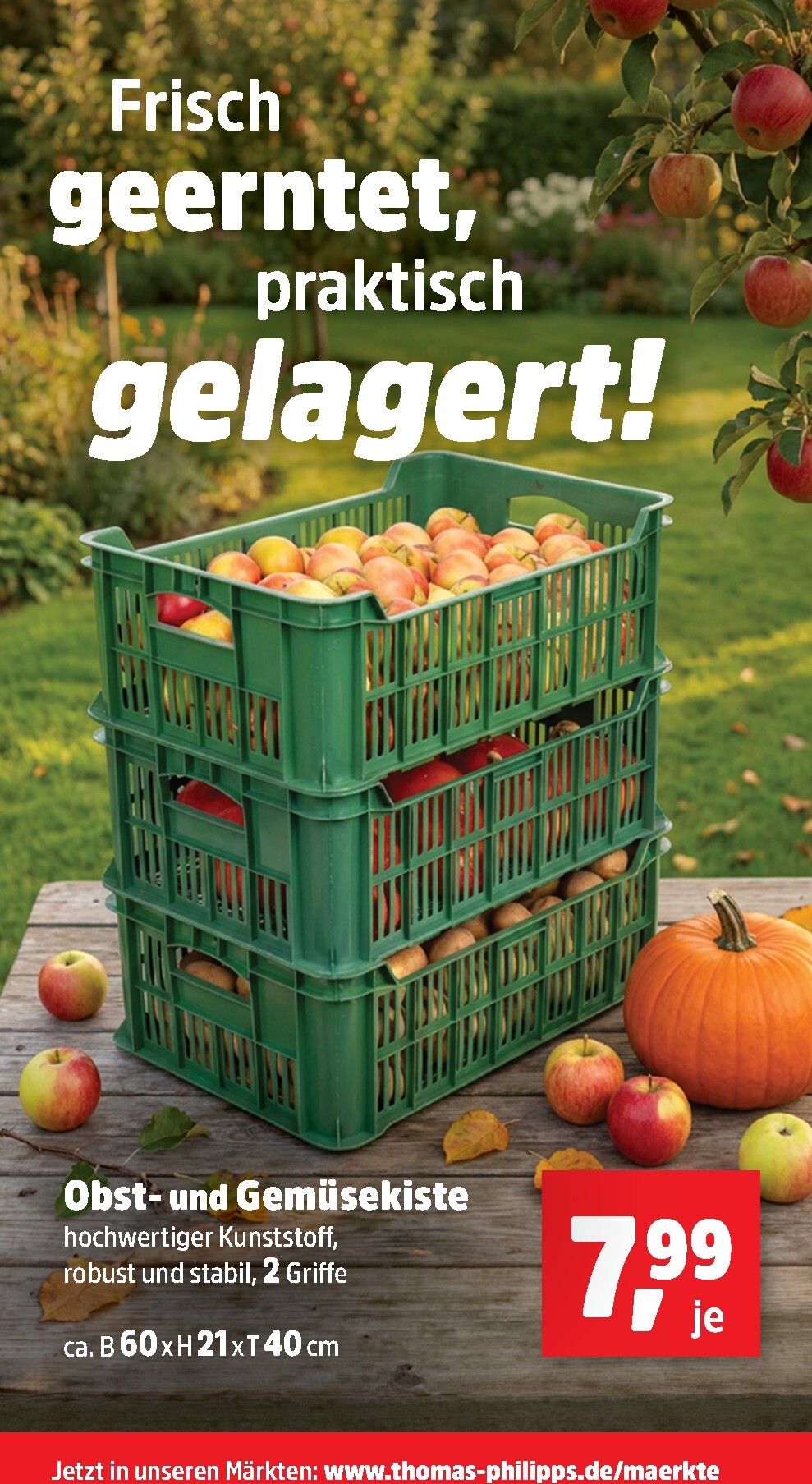 thomas-phillips - Thomas Phillips Prospekt nächste Woche – von Montag 19.10.2026 bis Samstag 24.10.2026 - page: 17