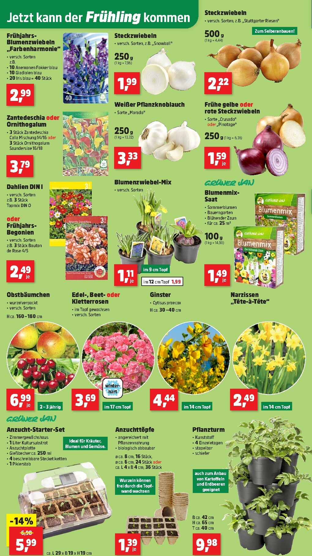 thomas-phillips - Thomas Phillips-Prospekt gültig vom 16.02.2026 bis 21.02.2026 - page: 2