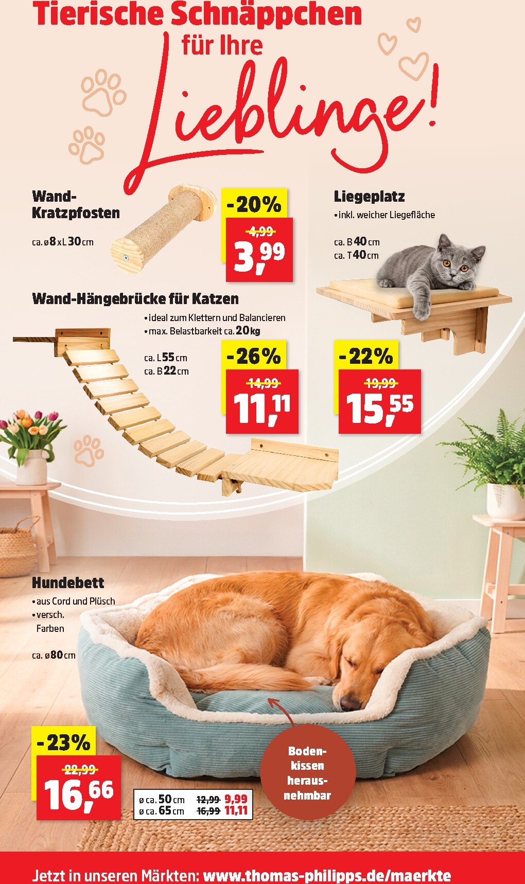 thomas-phillips - Thomas Phillips-Prospekt gültig vom 09.03.2026 bis 14.03.2026 - page: 13