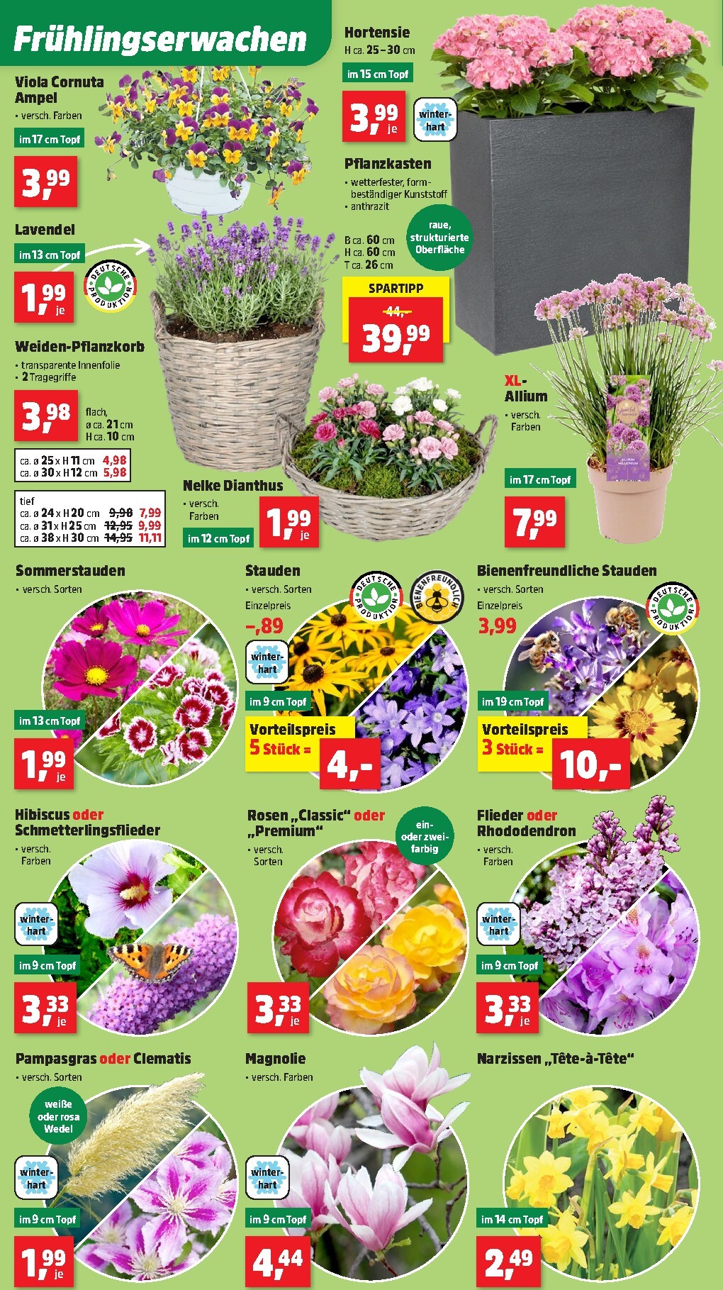 thomas-phillips - Thomas Phillips-Prospekt gültig vom 23.03.2026 bis 28.03.2026 - page: 4