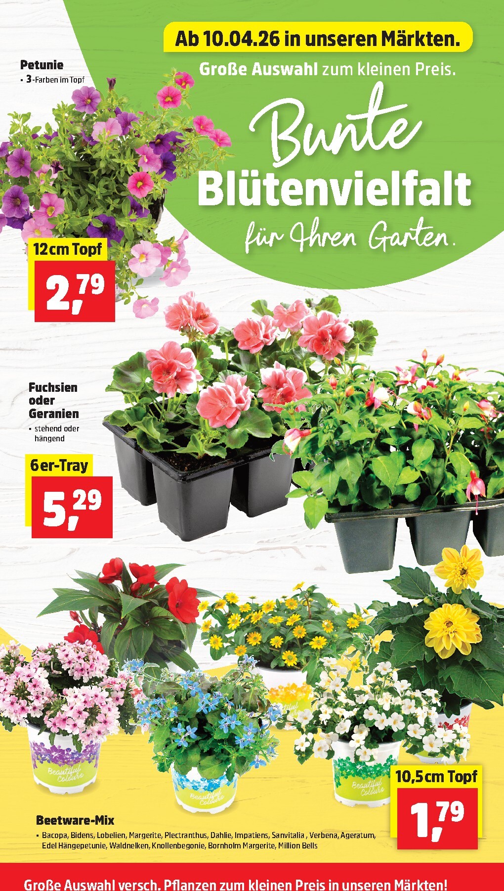 thomas-phillips - Thomas Phillips Prospekt nächste Woche – von Montag 13.04.2026 bis Samstag 18.04.2026 - page: 6