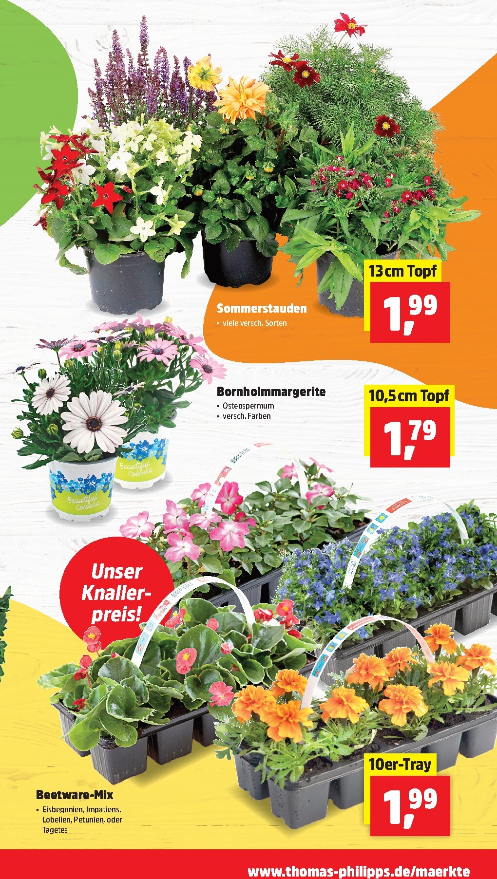 thomas-phillips - Thomas Phillips Prospekt nächste Woche – von Montag 20.04.2026 bis Samstag 25.04.2026 - page: 3