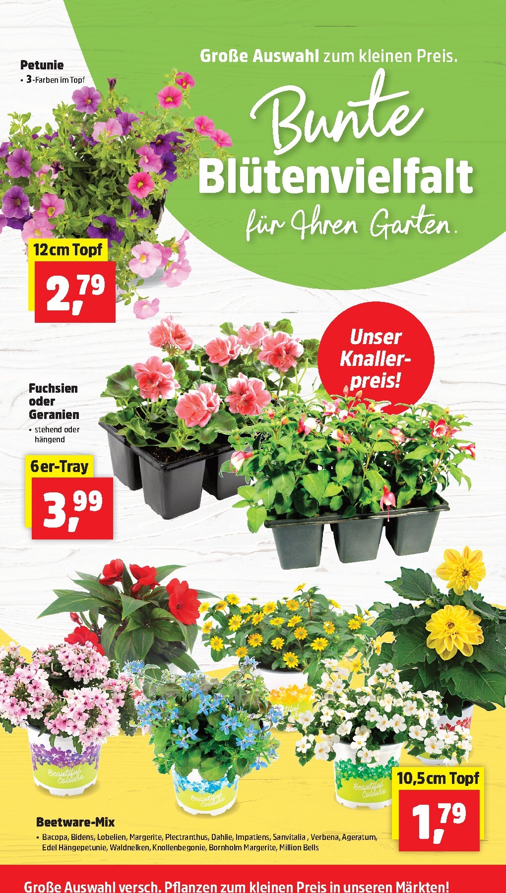 thomas-phillips - Thomas Phillips Prospekt nächste Woche – von Montag 20.04.2026 bis Samstag 25.04.2026 - page: 2