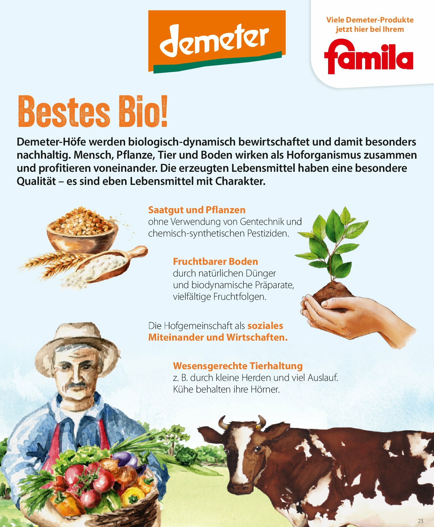 famila-nordost - Famila Nordost-Prospekt gültig vom 25.08. bis 30.08. - page: 23
