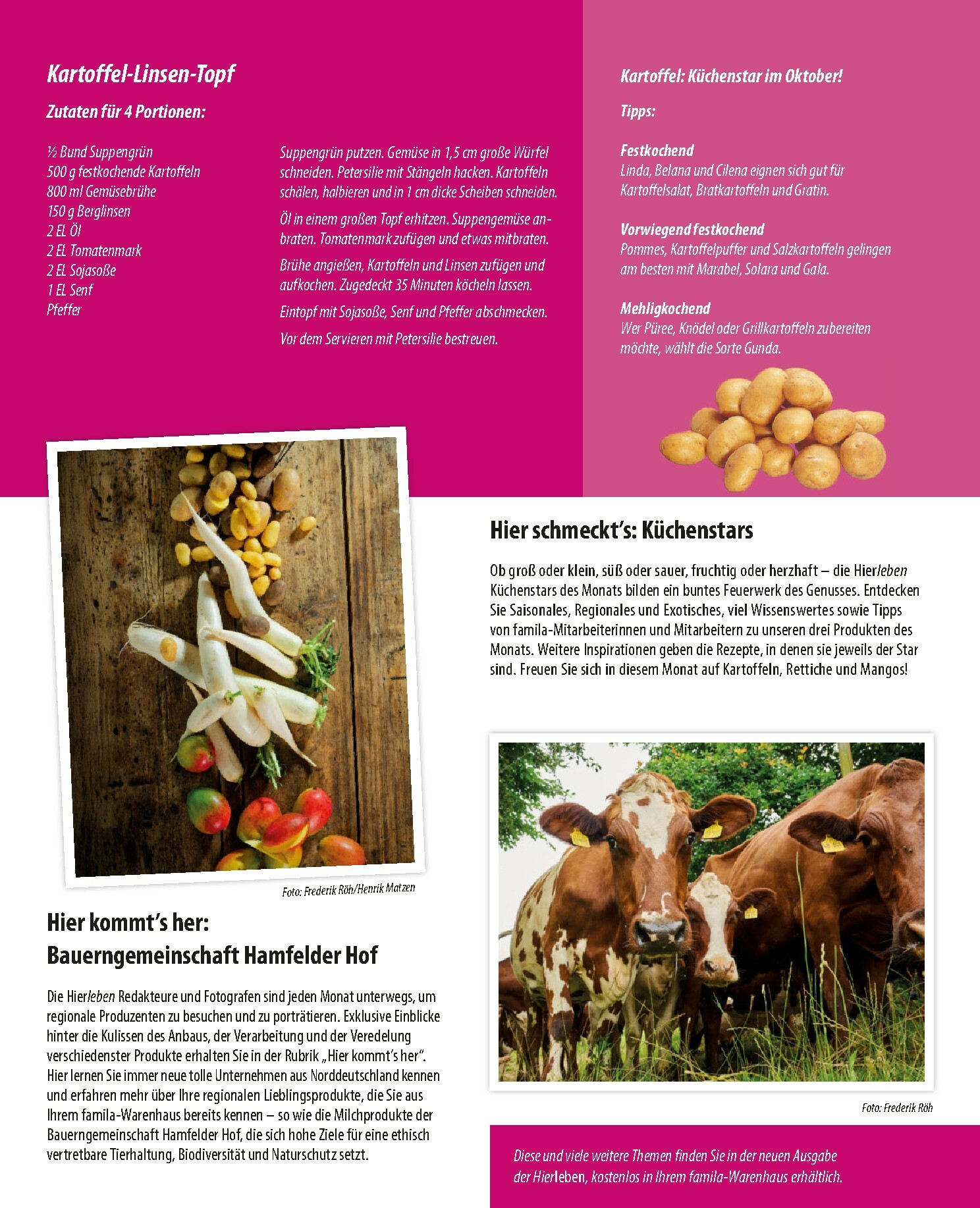 famila-nordost - Famila Nordost-Prospekt gültig vom 06.10. bis 11.10. - page: 23