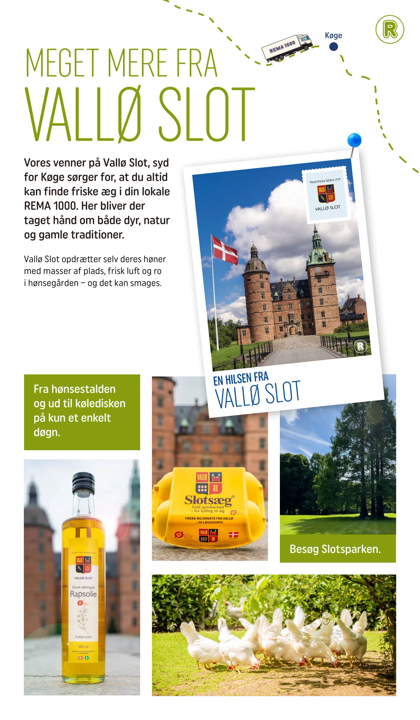 rema-1000 - Rema 1000 - Meget mere dansk & lokalt tilbudsavis gyldig fra 23.06. til 20.08. - page: 8